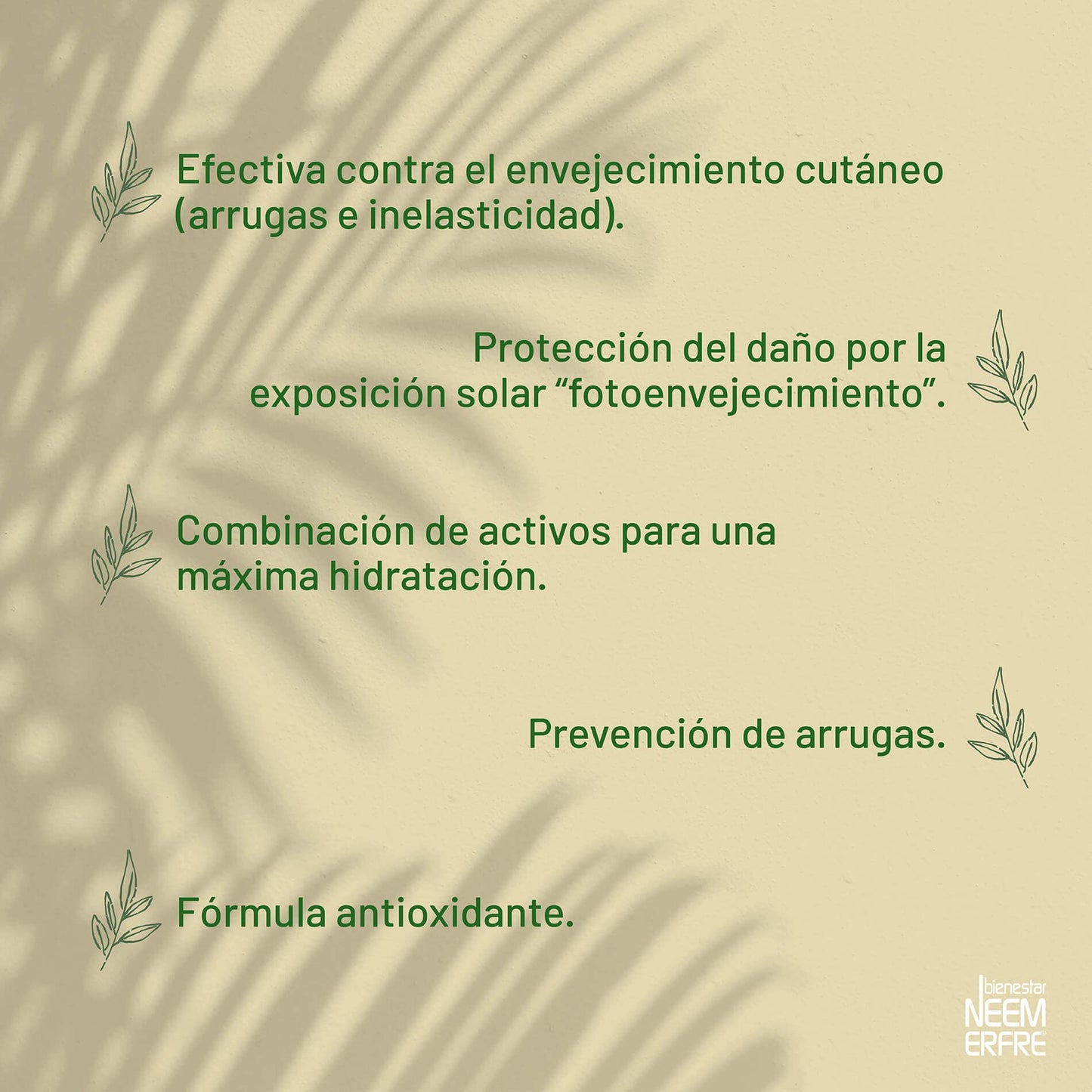 bienestar NEEM ERFRE Serum de Ácido Hialurónico al 1.5% + Coenzima Q10 + Escualano + extracto de orquídea | 93% ingredientes de origen natural | Hidrata y revitaliza tu piel, rápida absorción | 60ml (Paq de 2)