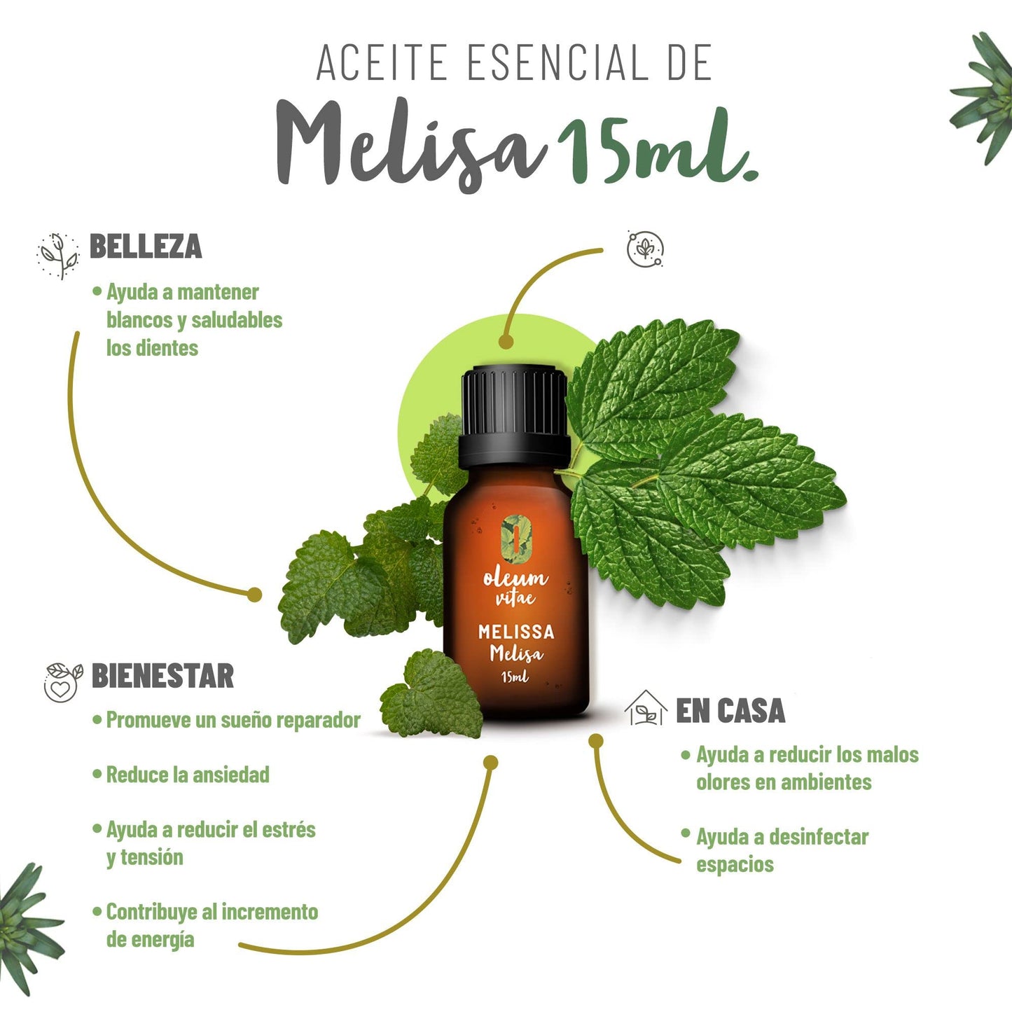 Aceite Esencial Oleum Vitae Melisa 100% Puro y Orgánico Certificado UK 15ml