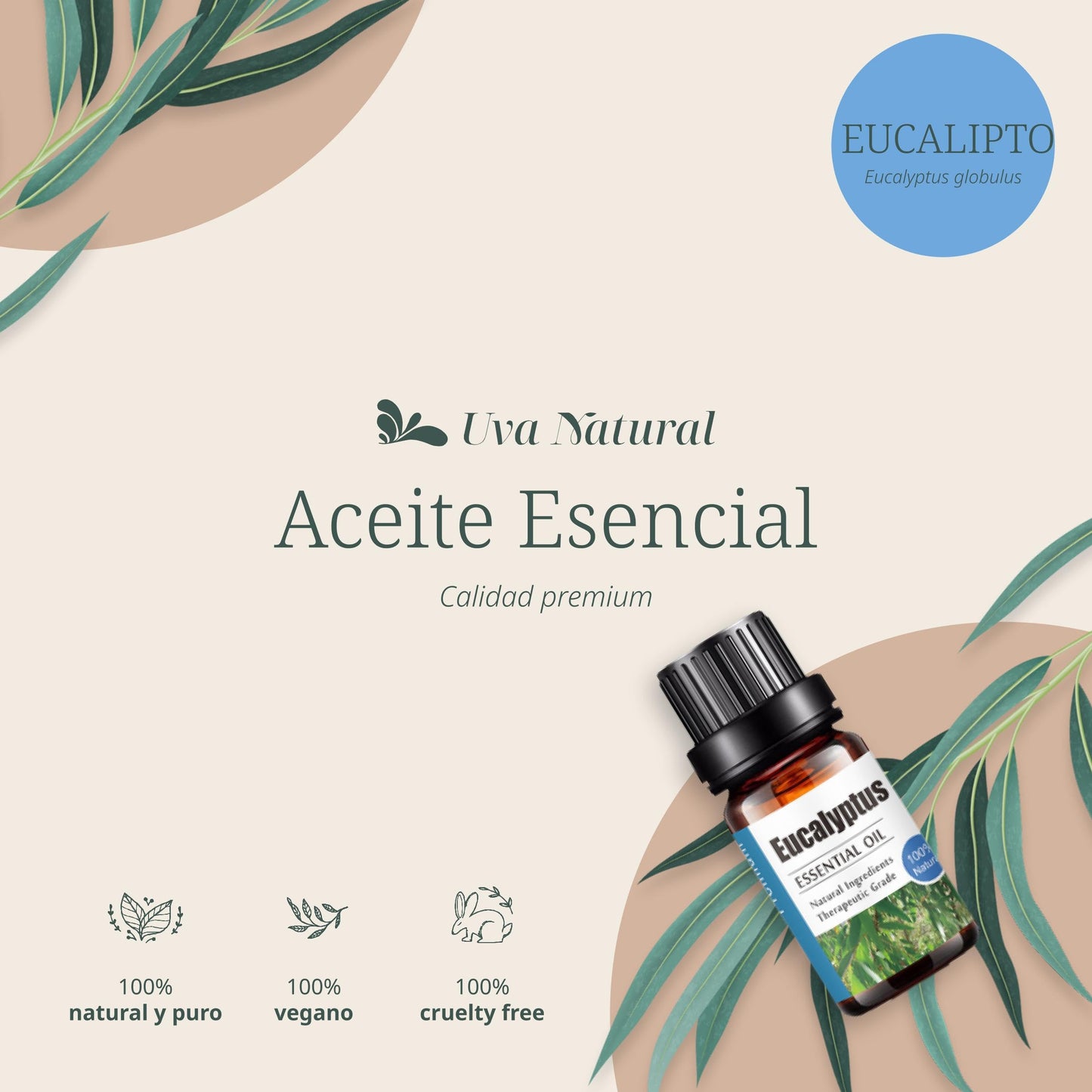 Aceite Esencial de Eucalipto UVa Natural 10 ML Aromaterapia para Difusores y Humidificadores con Caja de Regalo