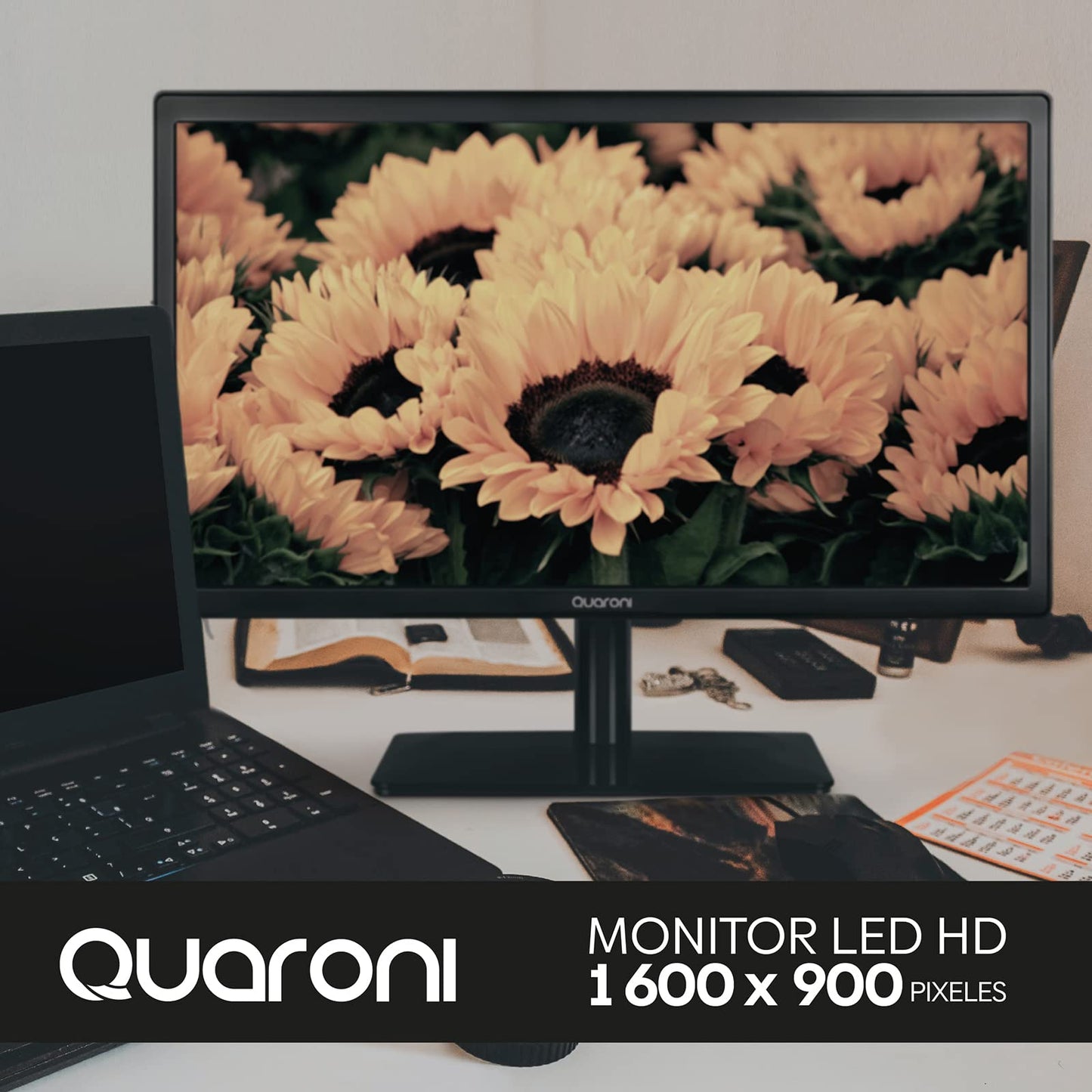 Monitor LED Quaroni MQ19-01 Negro con Panel TN y Conectividad VGA/HDMI