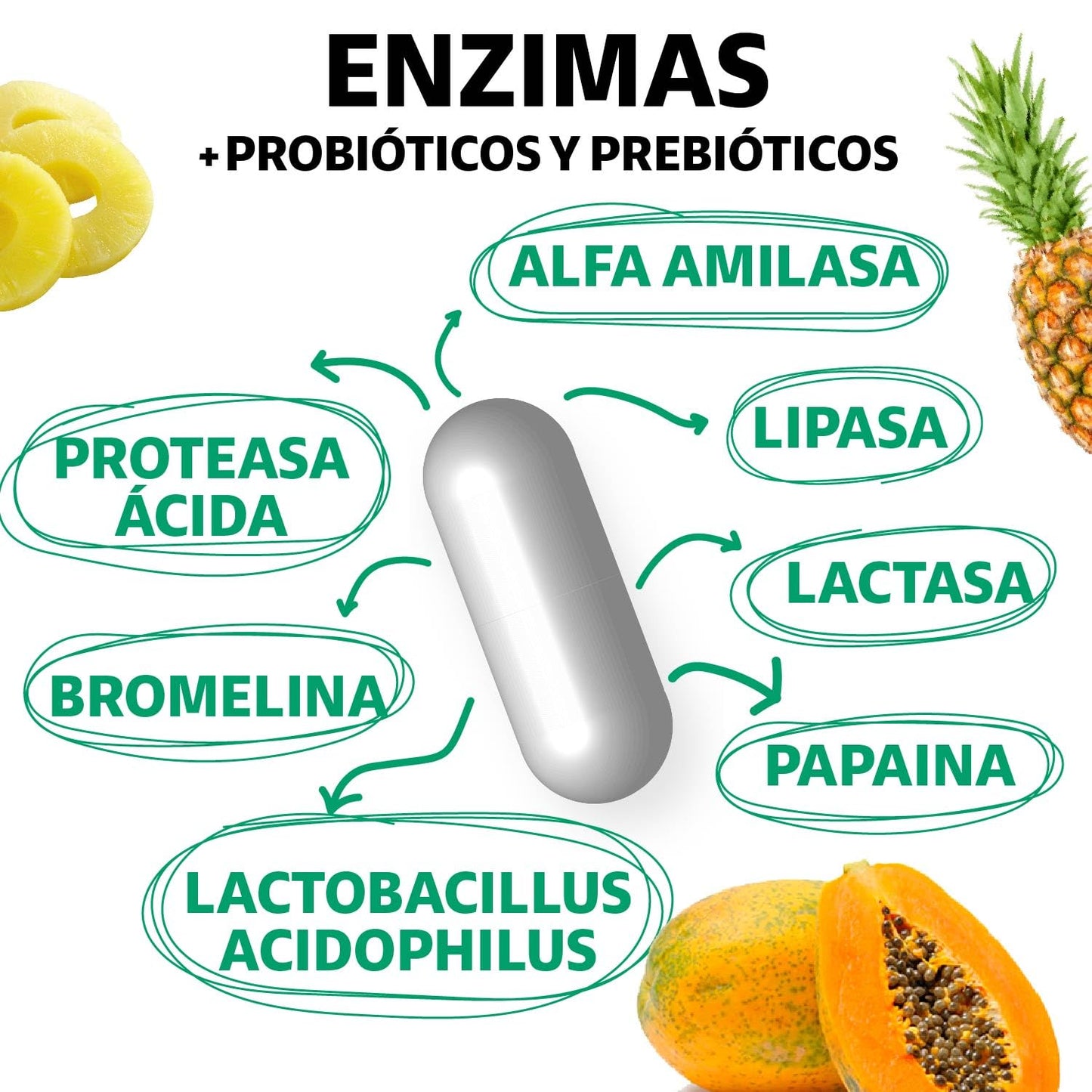 Enzimas Digestivas y Probióticos Lactobacillus acidophilus 180 Cápsulas