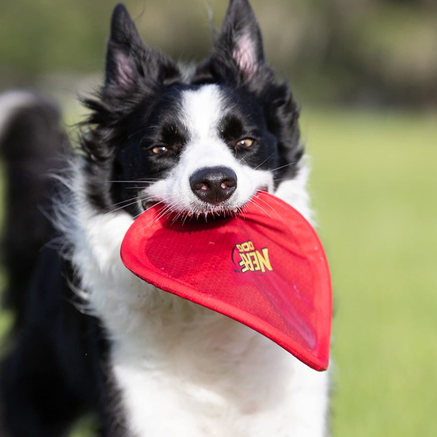 Disco Volador de Nylon Nerf Dog Grande Rojo para Perros