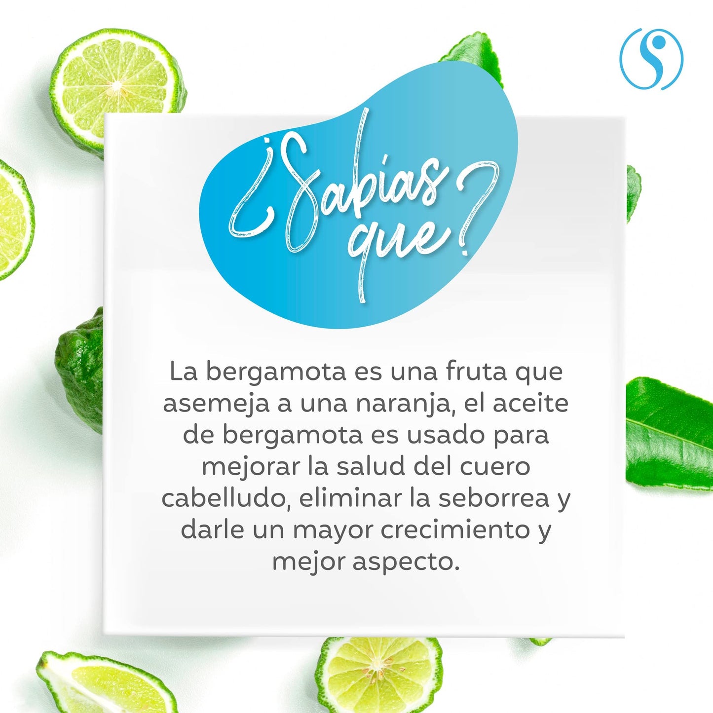 Sheló NABEL Shampoo de Bergamota 530 ml para Cabello Graso