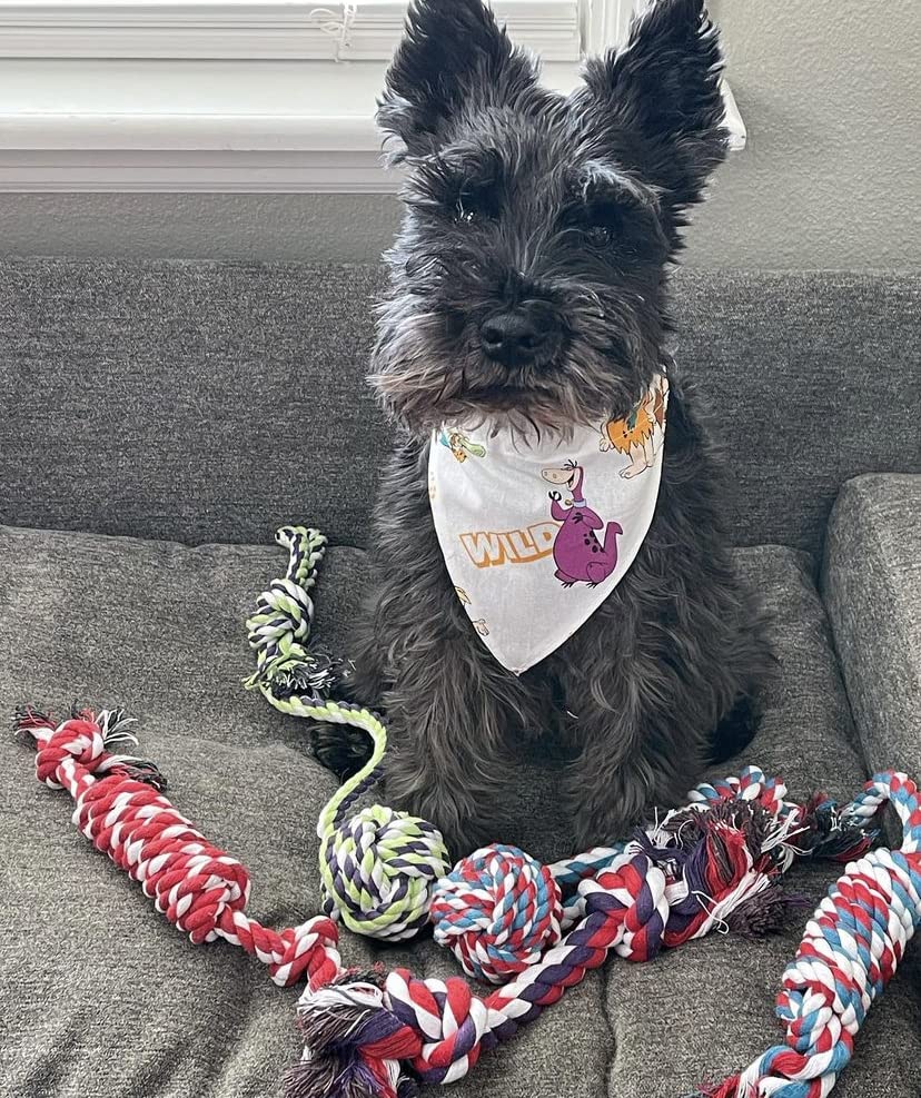 Juguetes de cuerda para perros pequeños y medianos – Beneficios de rescate de perros no profit – Juguetes para perros masticables para razas pequeñas y medianas – Juguetes de algodón para el aburrimiento