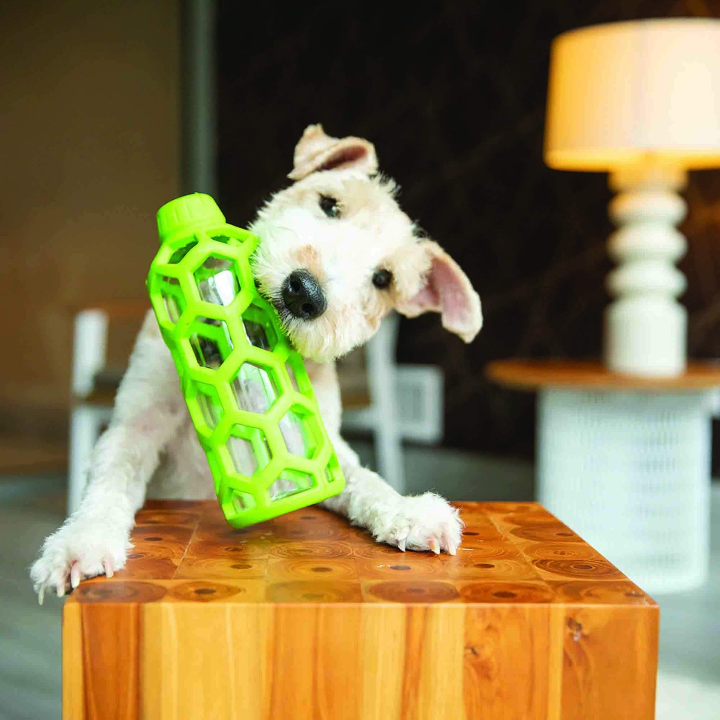 Juguete Masticable JW Pet HOL-EE Mediano para Perro