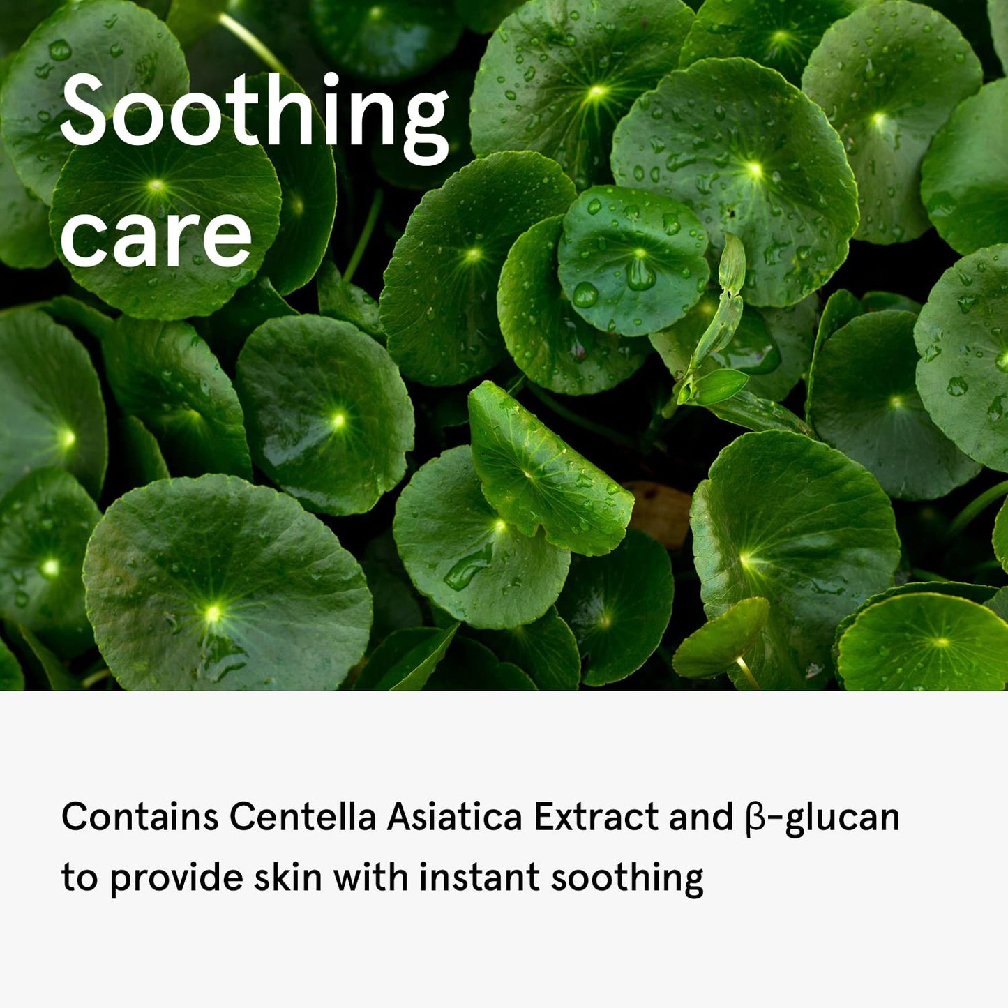 ONE THING Centella Crema calmante 3.38 fl. oz. | Hidratante facial hidratante vegano para todo tipo de piel | Cuidado de la piel coreano