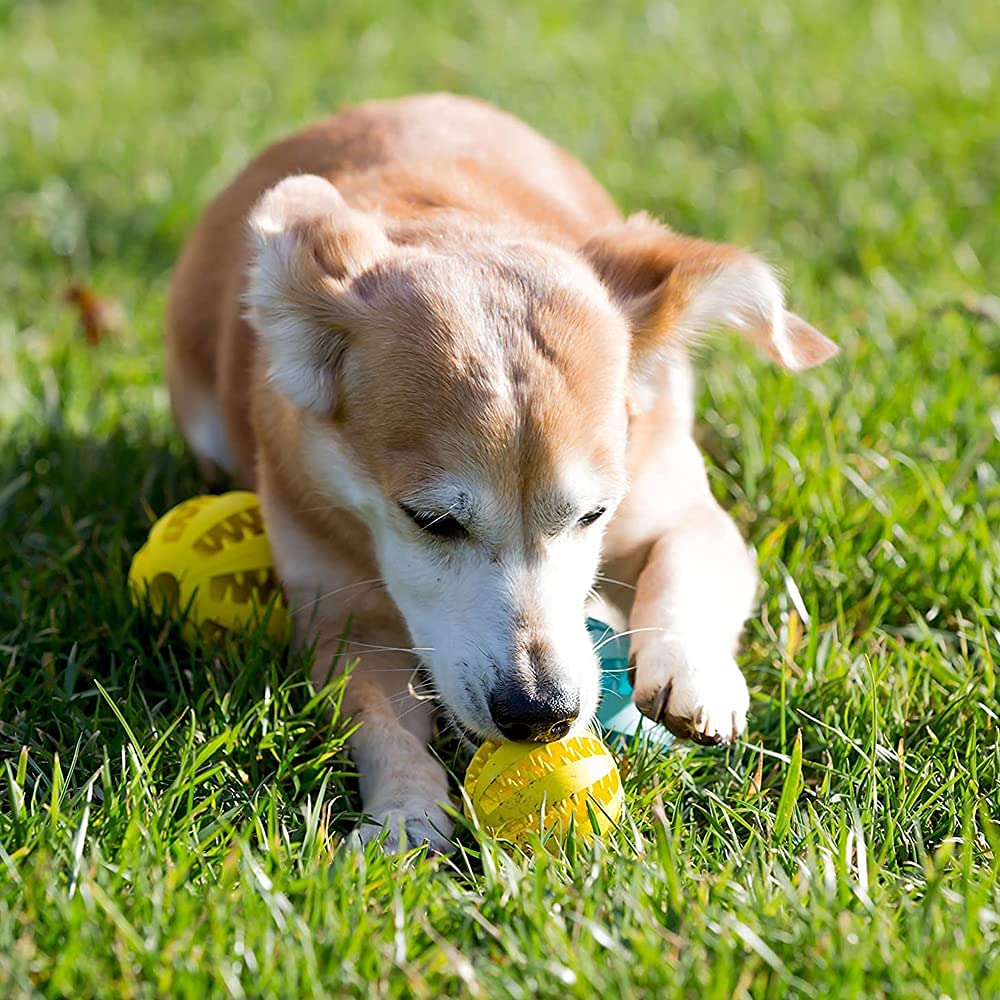 LISAPRO Pelotas Grandes de Goma para Mascotas, duraderas, funcionales para Limpieza y Cuidado Dental para Mascotas, Juguete para Perro, Pelota de Goma Resistente a mordeduras(1Verde +1 Amarillo)