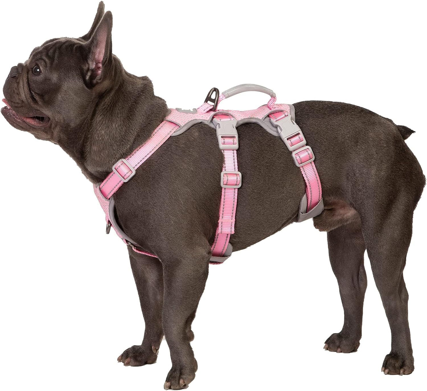 Huntboo Arnés antiescape Perros, arnés para escapistas, Totalmente Reflectante con asa Acolchada, Transpirable, Duradero, Ajustable,Ideal para Caminar, Entrenar y Correr (Rosa, XS)