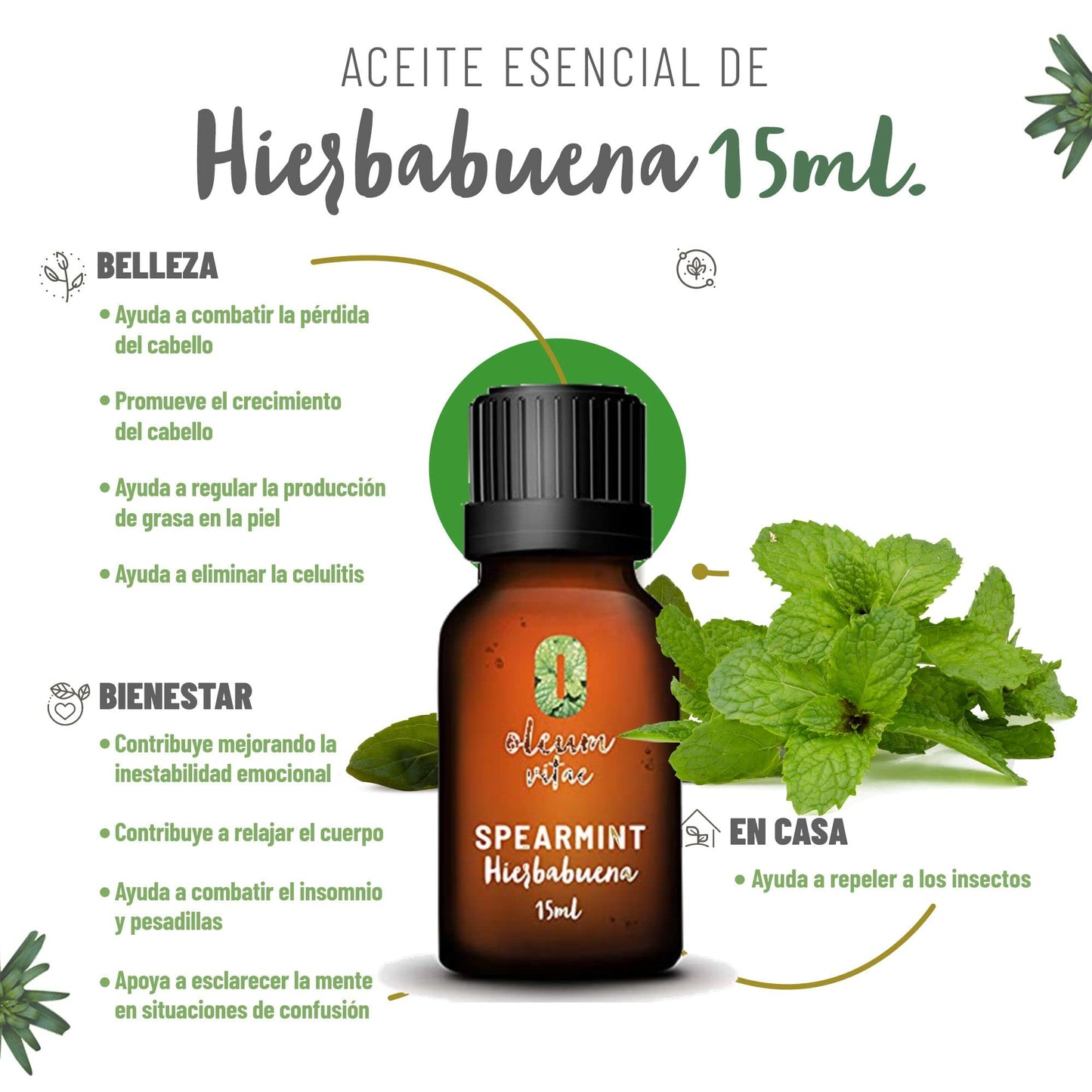 Aceite Esencial OLEUM VITAE Hierbabuena 100% Puro y Orgánico Certificado USDA 15 ml