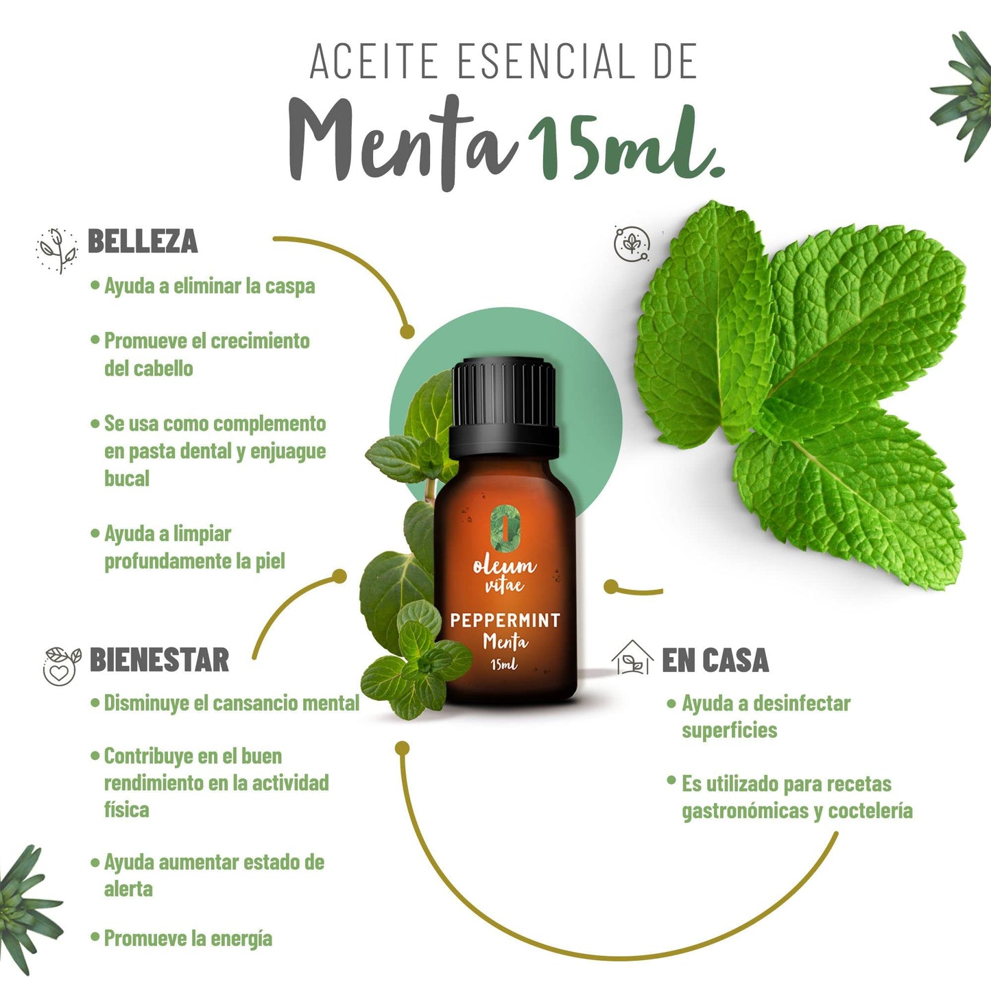 Aceite Esencial OLEUM VITAE Menta 100% Puro y Orgánico Certificado USDA ORGANIC 15ml