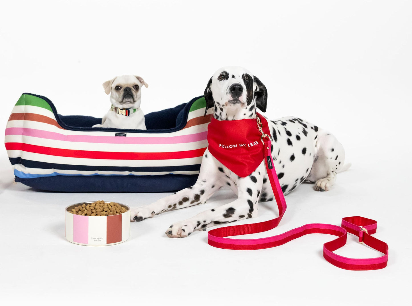 Kate Spade New York Dog Dish for Food and Water, Stainless Steel Bowl with Non-Slip Base, 2 Cup (16oz) Capacity, Small Pet Food Bowl or Water Dish for Dogs, Adventure Stripe