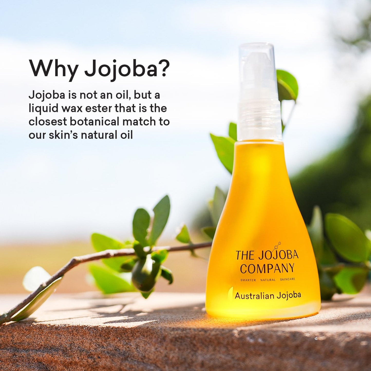 Jojoba by The Jojoba Company 100% natural de jojoba australiana, 85 ml
