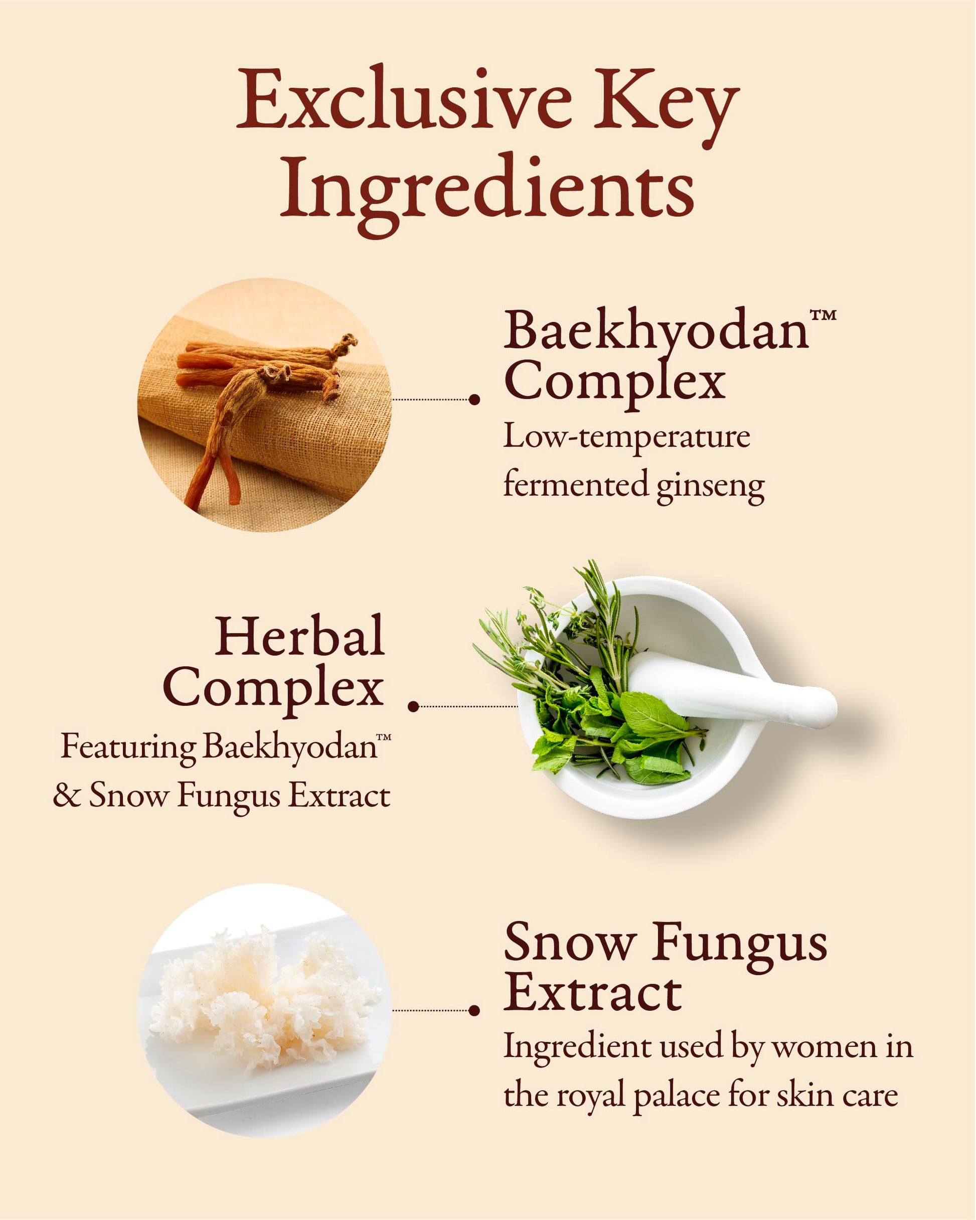 SOORYEHAN Hyobidam Fermented Cream 50ml, Korea Cosmetic by Sooryehan