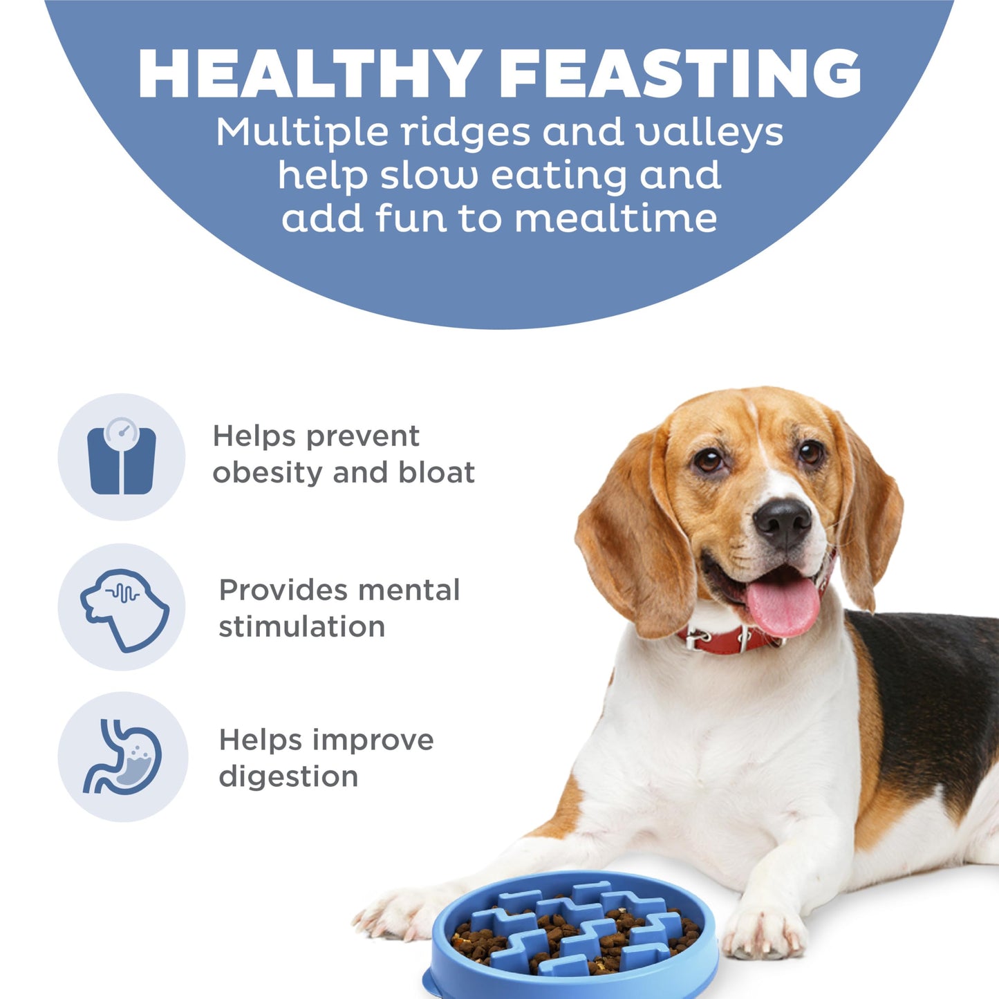 Plato Antideslizante Outward Hound Azul Medio para Perros