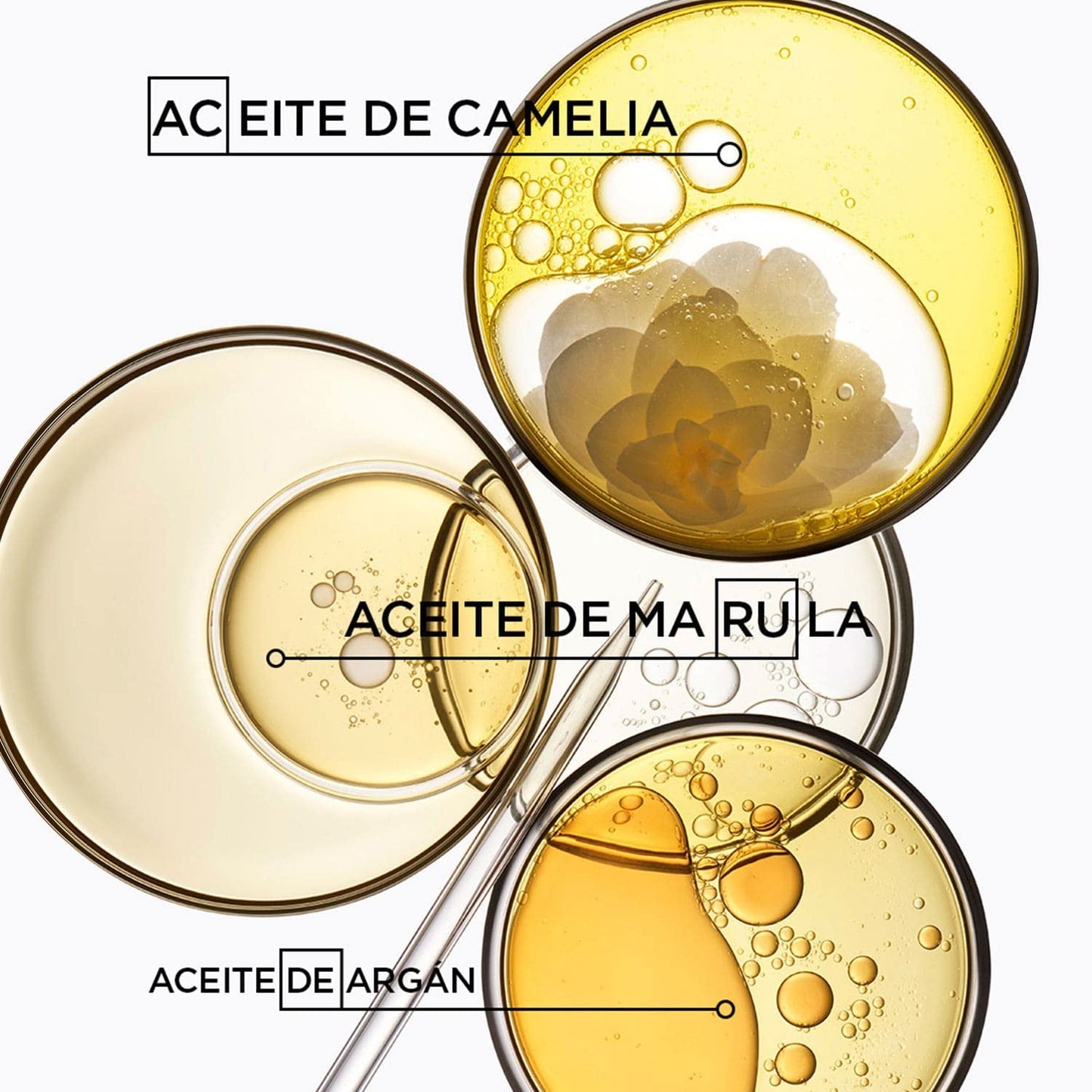 KÉRASTASE Le Bain Elixir Ultime Shampoo | Nutre profundamente desde la raíz hasta las puntas y aporta suavidad y brillo | Con Aceite de Marula, Aceite de Camelia y Aceite de Argán | 250ml