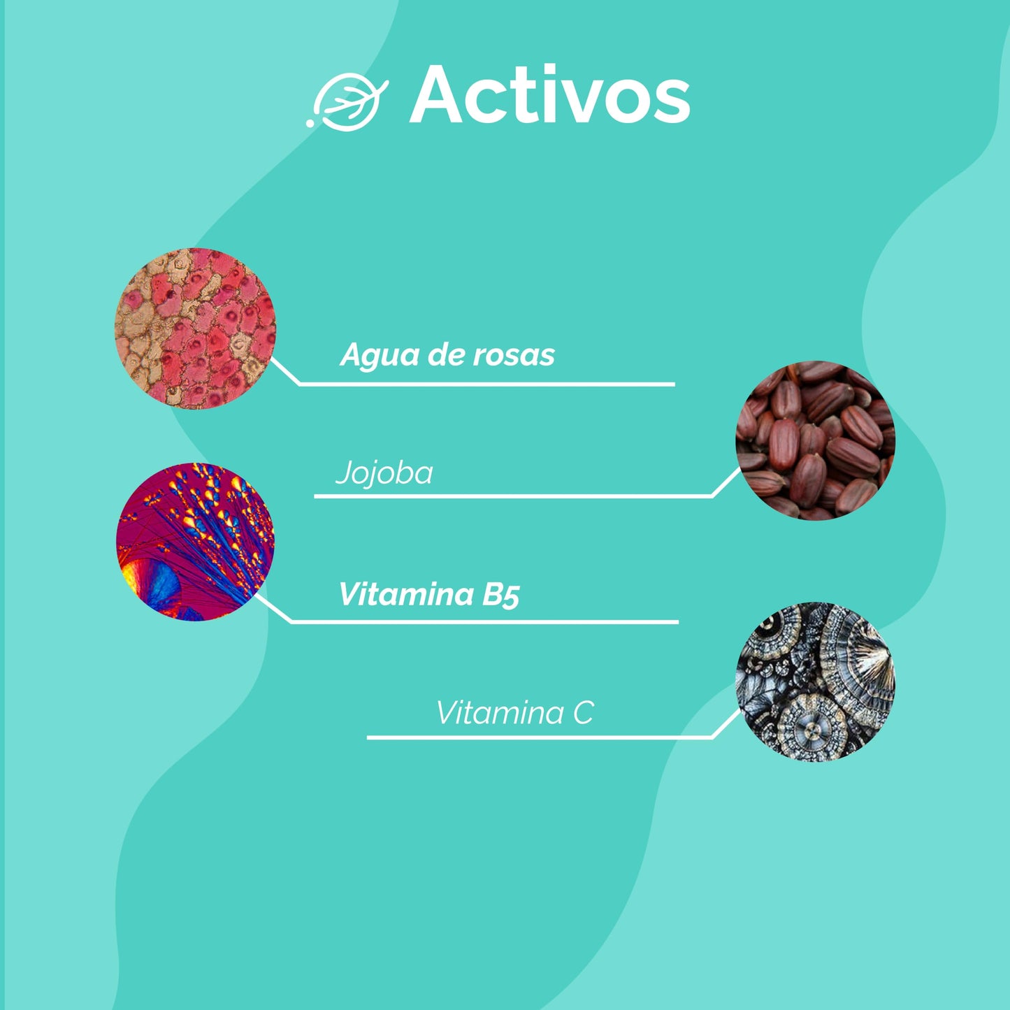 Kit Skincare Tratamiento Facial Revitalizante Seasons | Tónico Agua de Rosas + Serum Facial Jojoba + Hidratante Vitamina C