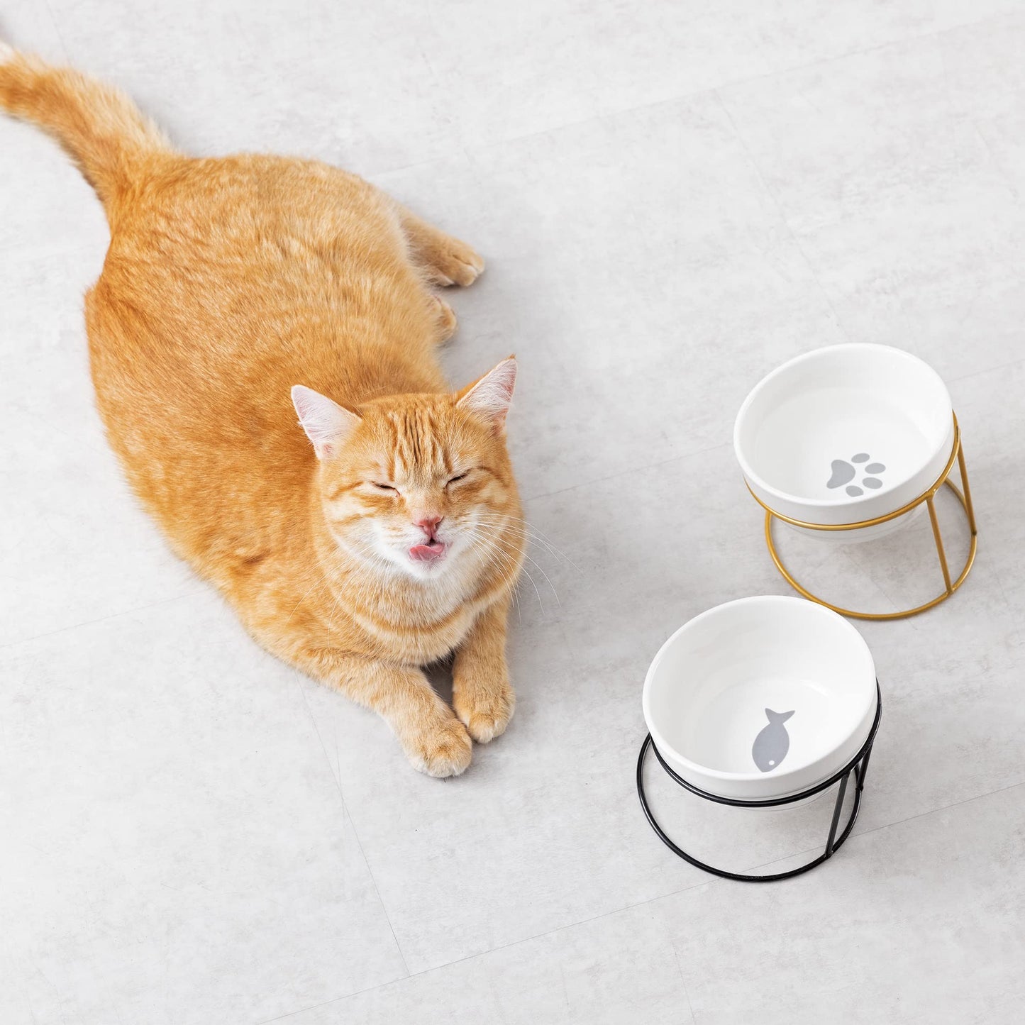 Comedero y Bebedero Navaris Acero Inoxidable Elevados para Mascotas perros gatos