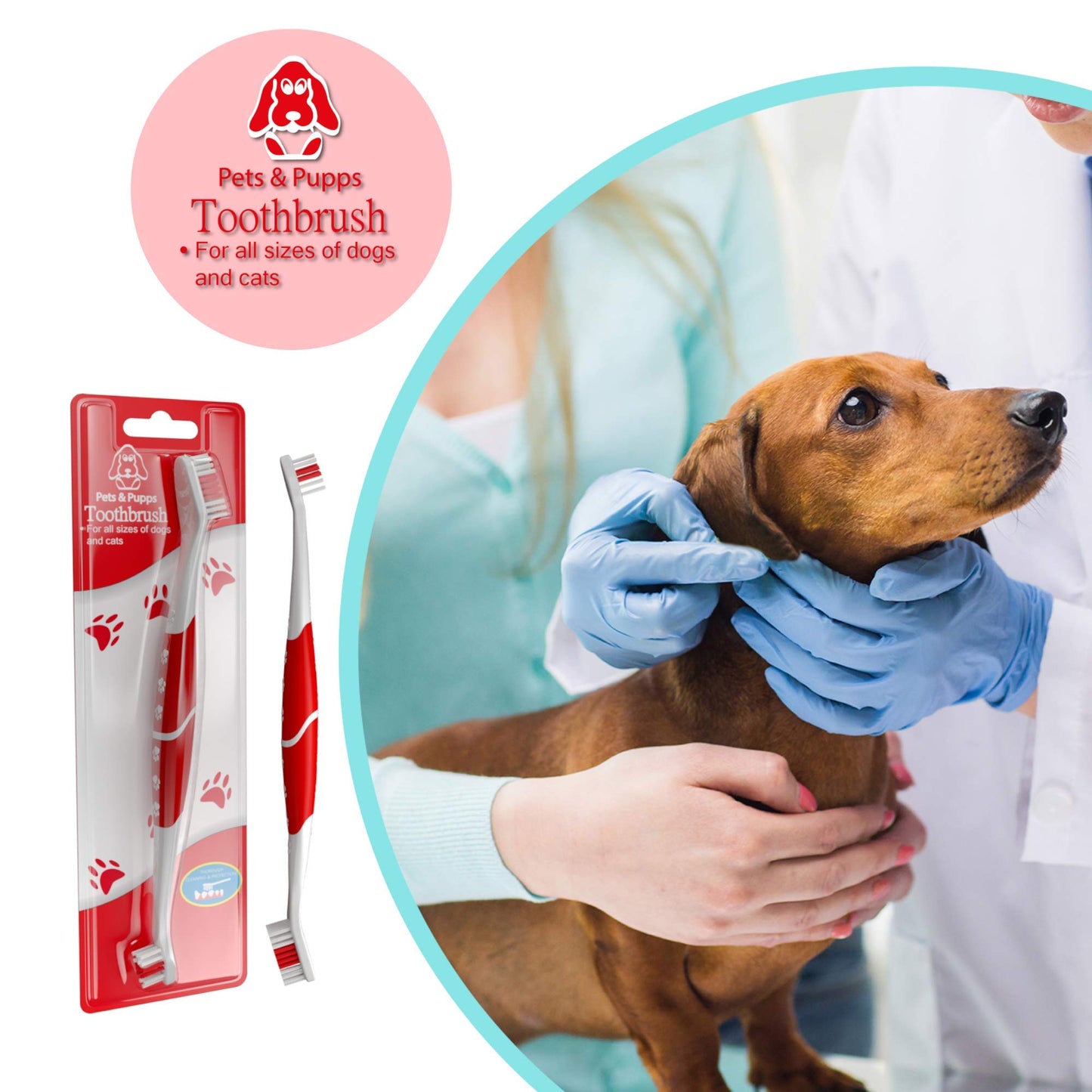 cepillo para polvo de dientes para mascotas para perros, gatos con cerdas suaves, fácil limpieza de dientes y cuidado dental, cepillo para polvo de dientes antideslizante de doble cabeza para perro, elige tu paquete (paquete de 2)