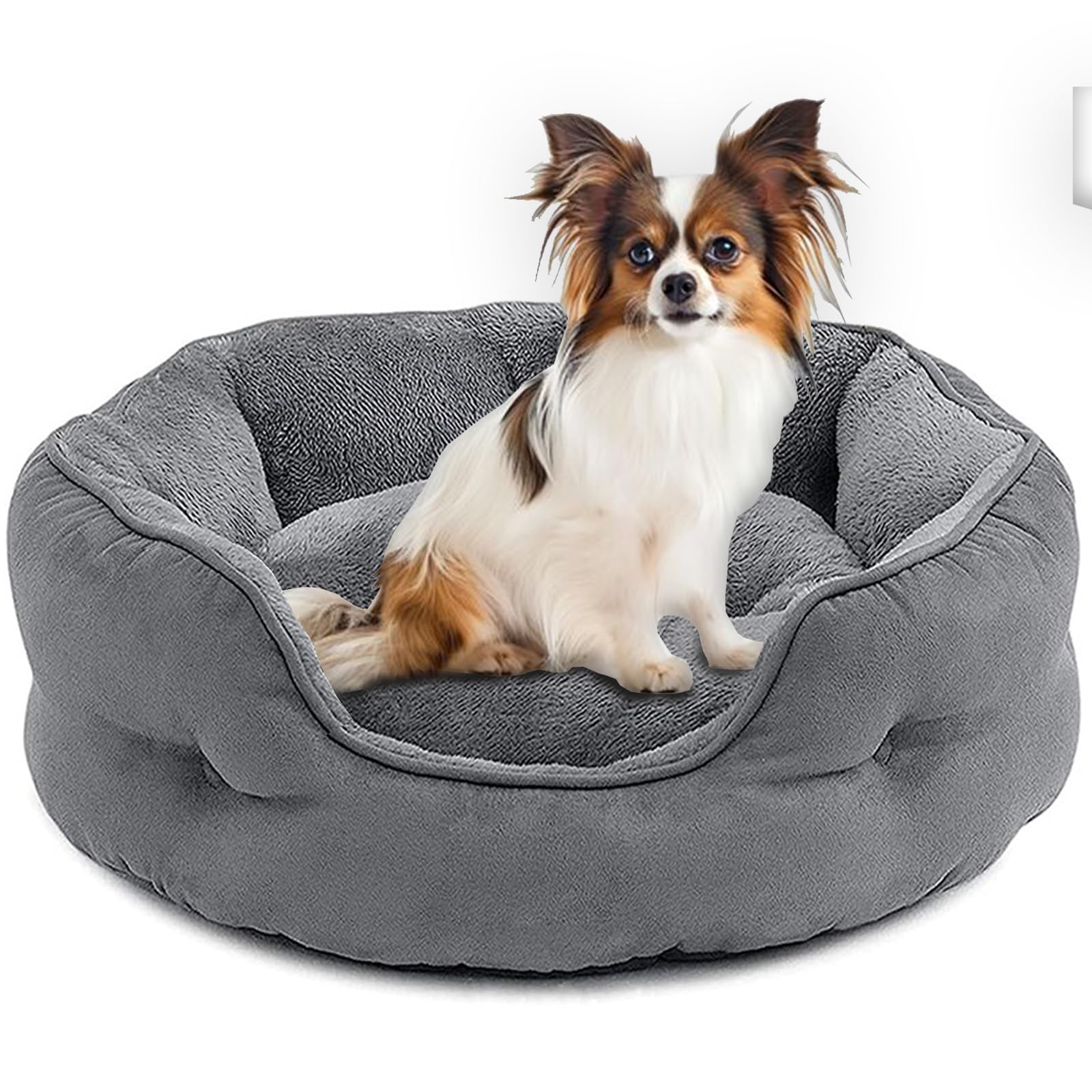 Cama para Perro OPUEW Gris con Fondo Antideslizante y Terciopelo Lavable  para Mascotas Pequeñas