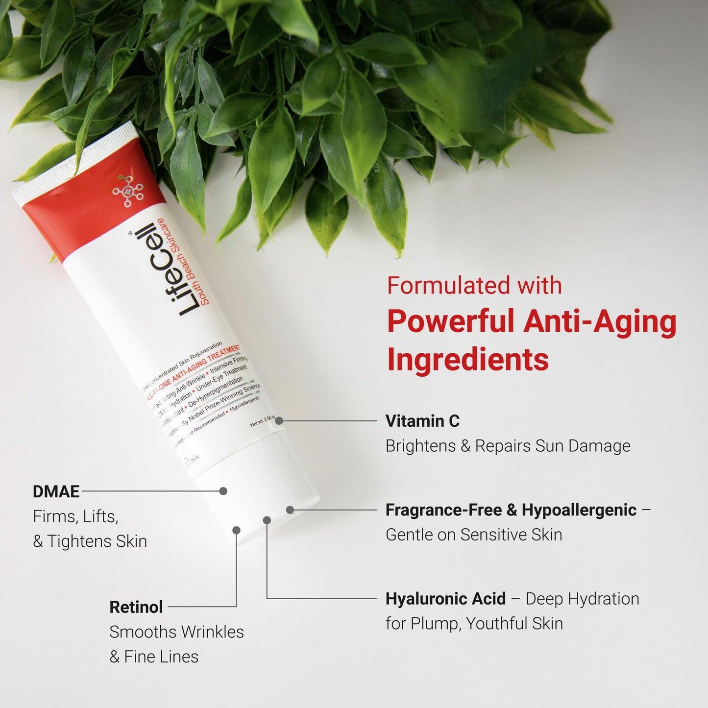 South Beach Skincare All In One Anti-Aging Treatment 2.54 oz
