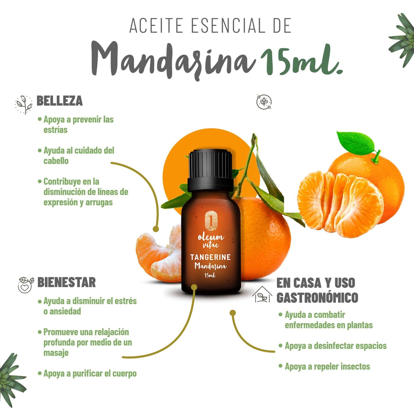 Aceite Esencial OLEUM VITAE Mandarina 100% Puro Orgánico Certificado USDA 15ml