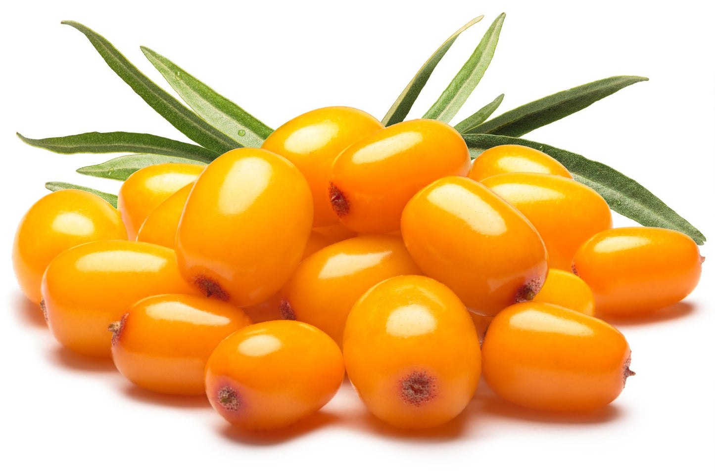 US Organic Sea Buckthorn Berry (Fruit) Oil, USDA Certified Organic,100% Pure & Natural, Supercritical CO2 extracted, Virgin, Unrefined in Amber Glass Bottle (1 oz (30 ml))