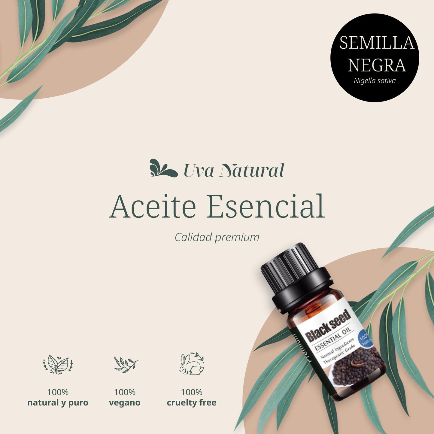 Aceites Esenciales Aromaterapia Semilla Negra Natural 100% Conjunto con Caja de Regalo 10 ML