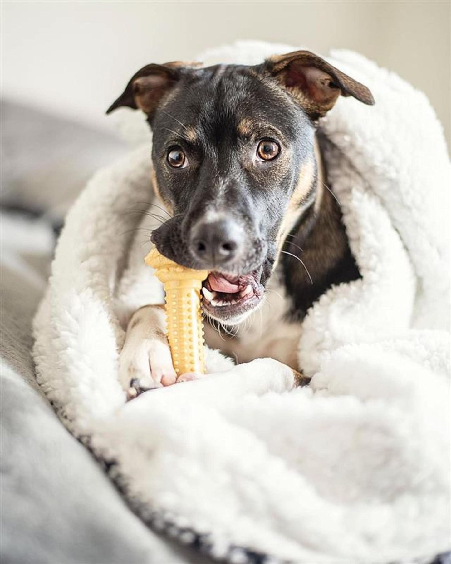 Juguete para Masticar Nylabone Sabor Mantequilla de Cacahuete Grande