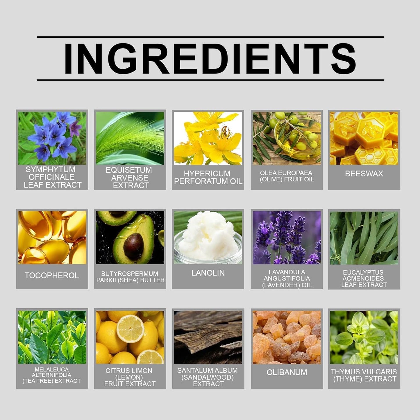 fretory Organic Herbal Salve, Organic Comfrey Herbal Salve, Organic Herbal Salve Oil for Skin