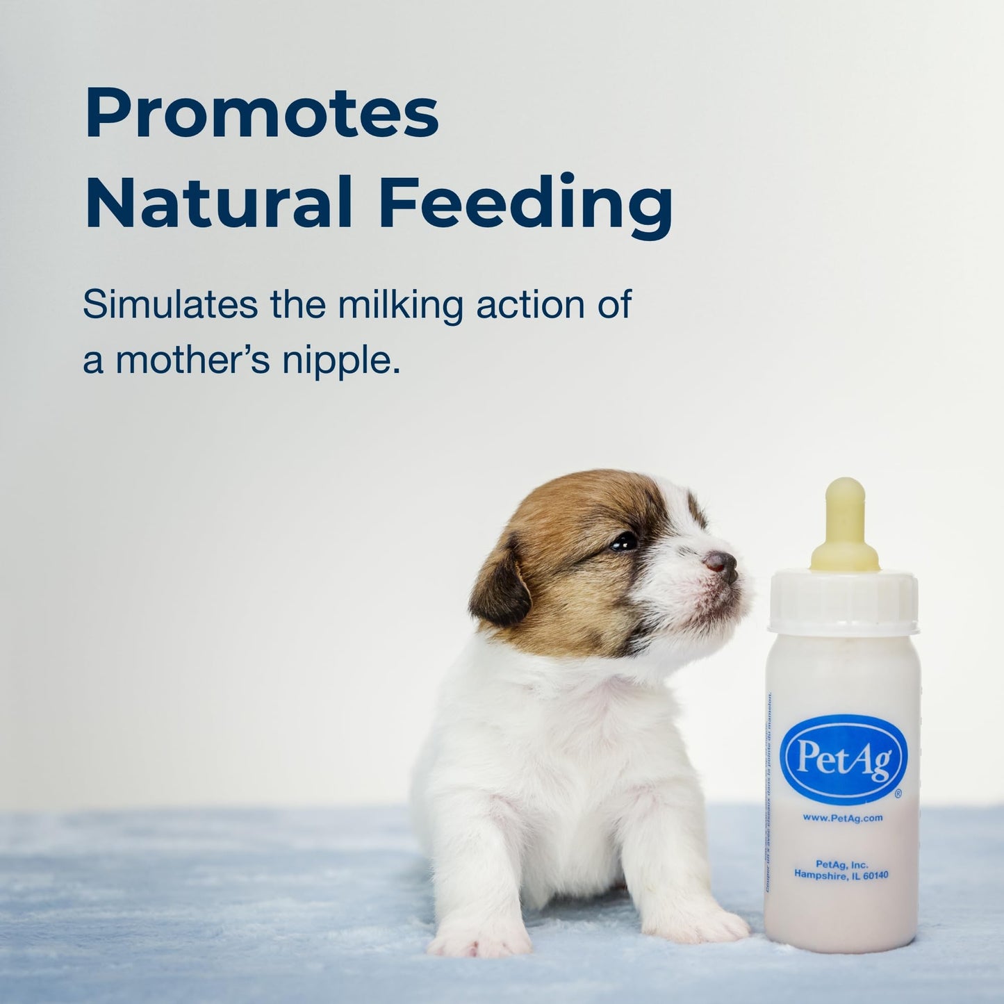 PetAg Display de Mamilas 4Oz 6 Pzs