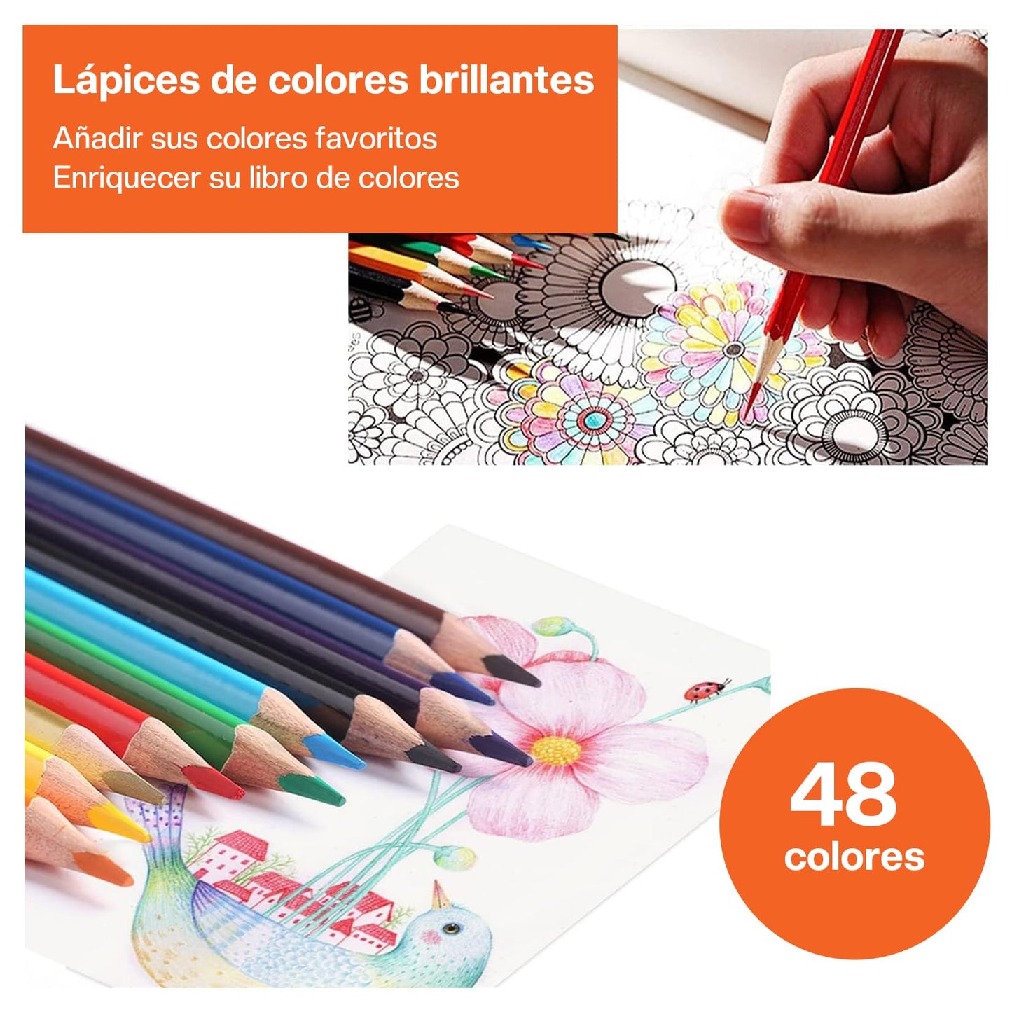 Juego de Lápices de Colores - 48 Lapices de Colores Profesionales, Kit Profesional de Dibujo en Color, Dibujo de Arte, Regalo Perfecto para Niño, Amante de La Pintura, Principiantes Y Artistas