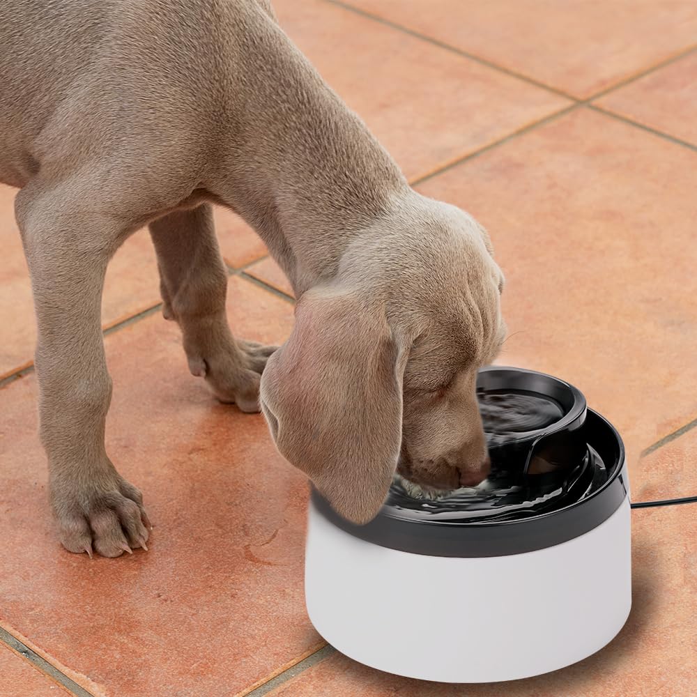 Fancy Pets Bebedero de Agua Tipo Fuente Automático para Perros y Gatos con Capacidad de 2 litros
