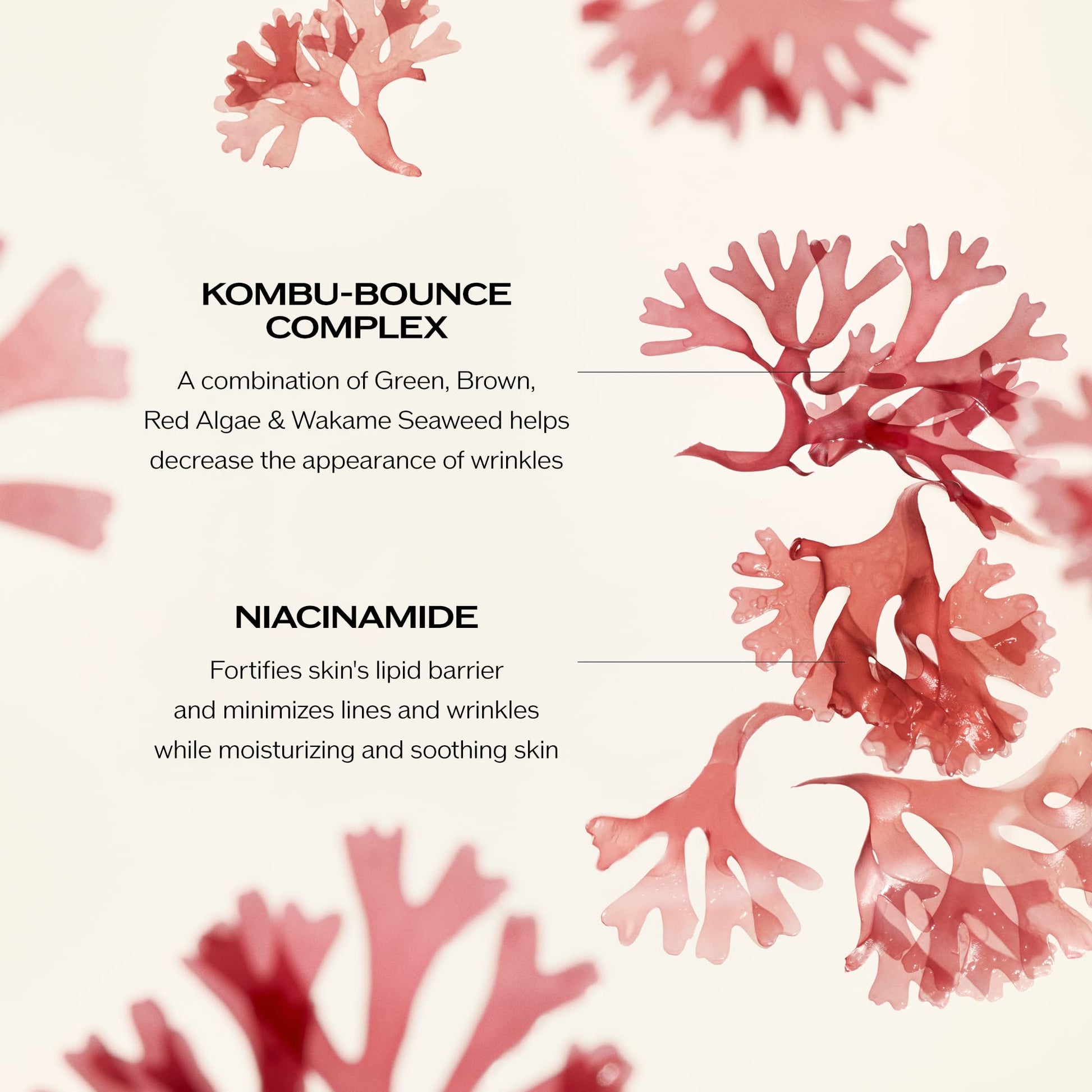 SHISEIDO SHISEIDO de Shiseido, Crema suavizante de arrugas Benefiance, 75 ml/2,6 oz