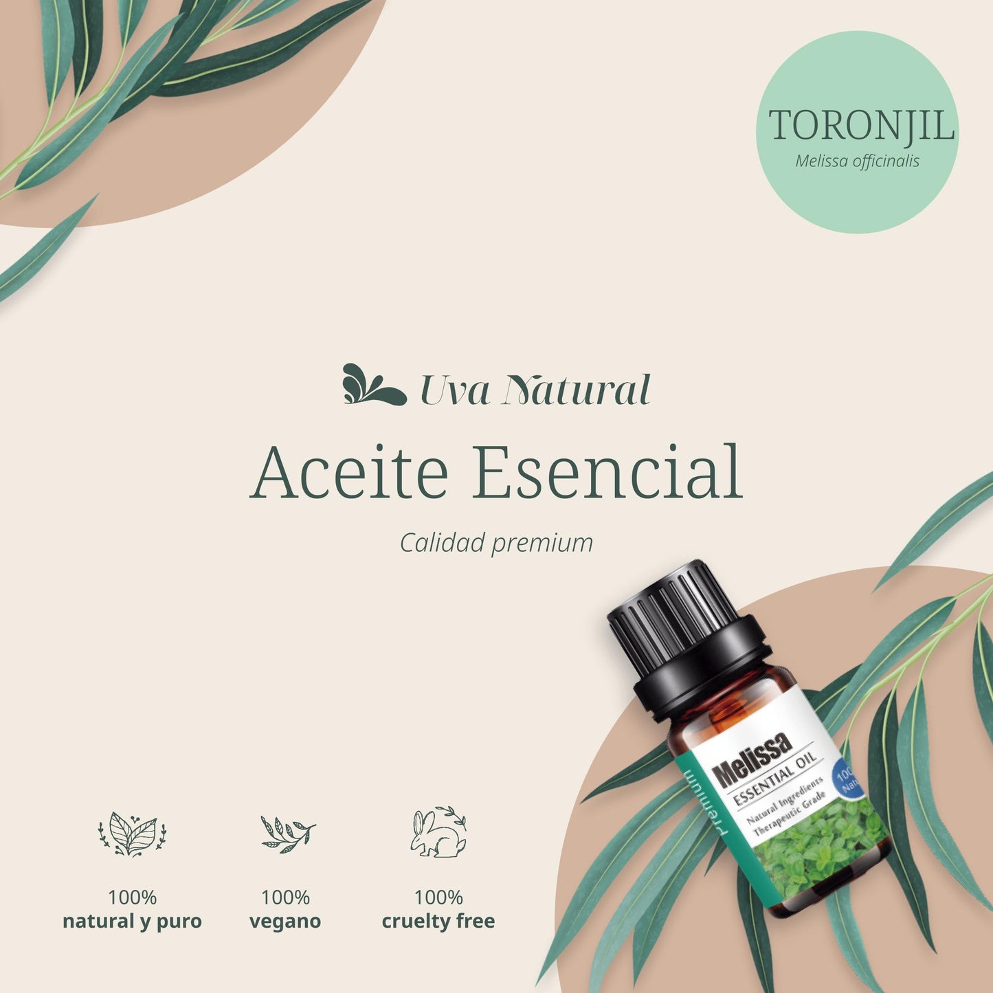 Aceites Esenciales UVA Natural Toronjil 100% Natural Aromaterapia con Caja de Regalo Exquisita