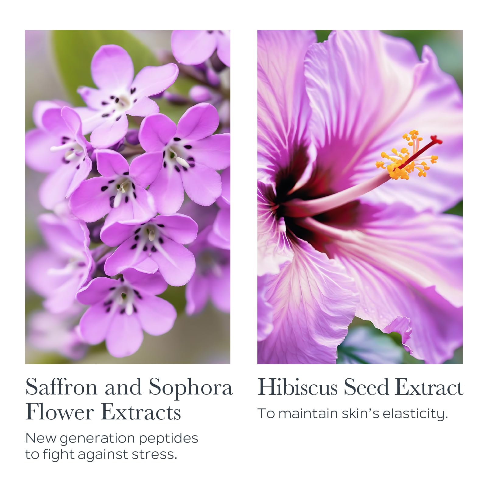 Sothys Firming Youth Cream - 1.69 oz