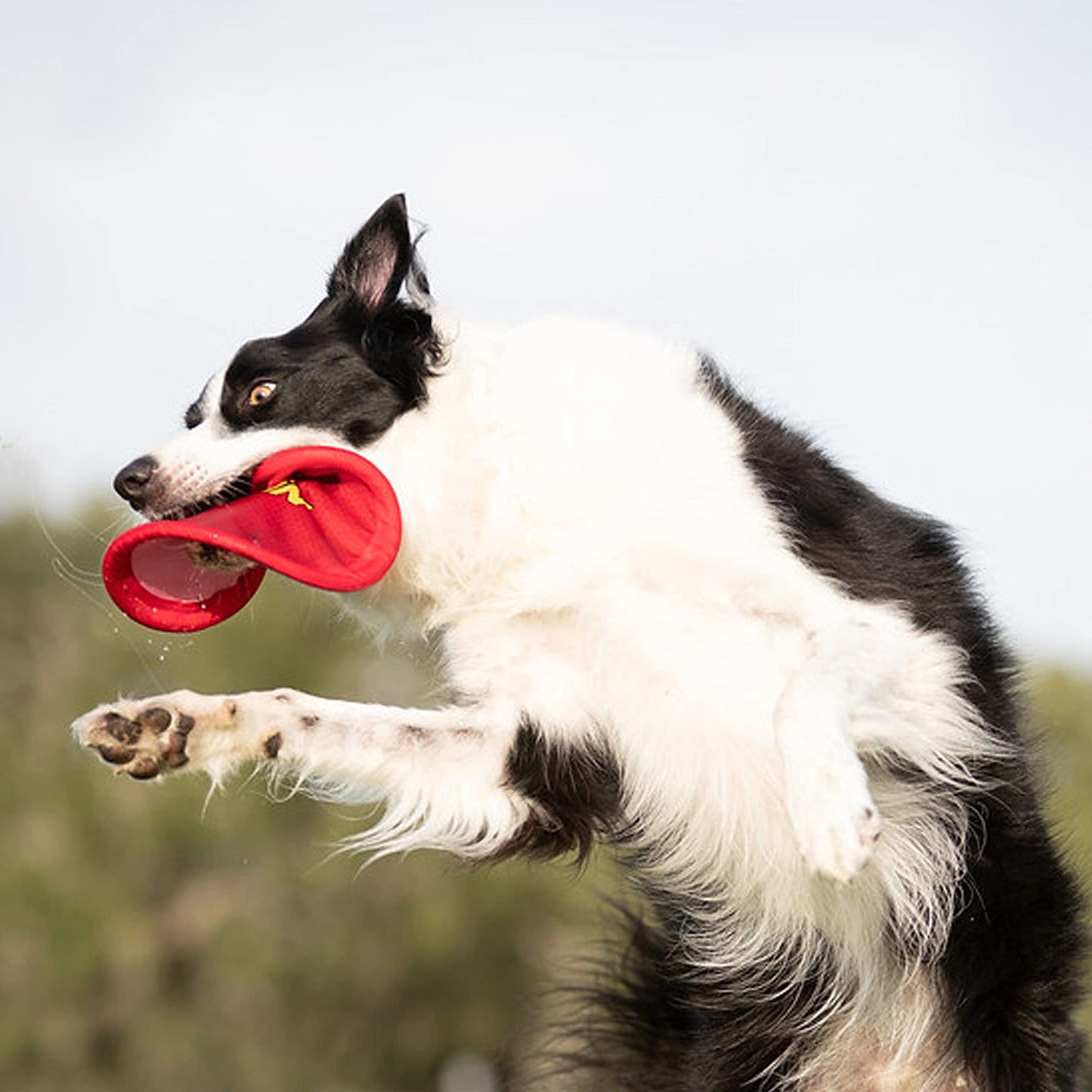 Disco Volador de Nylon Nerf Dog Grande Rojo para Perros