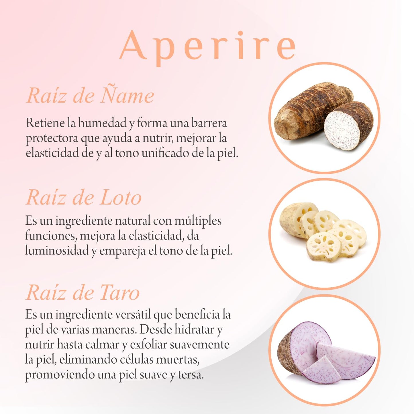 Serum Coreano Super Origin Rebirth Root Aperire 30ml | Hidratación y Calma para Piel Sensible | Centella Asiática | Root Cureplex con 5 Raíces | Skin Care Coreano K-Beauty