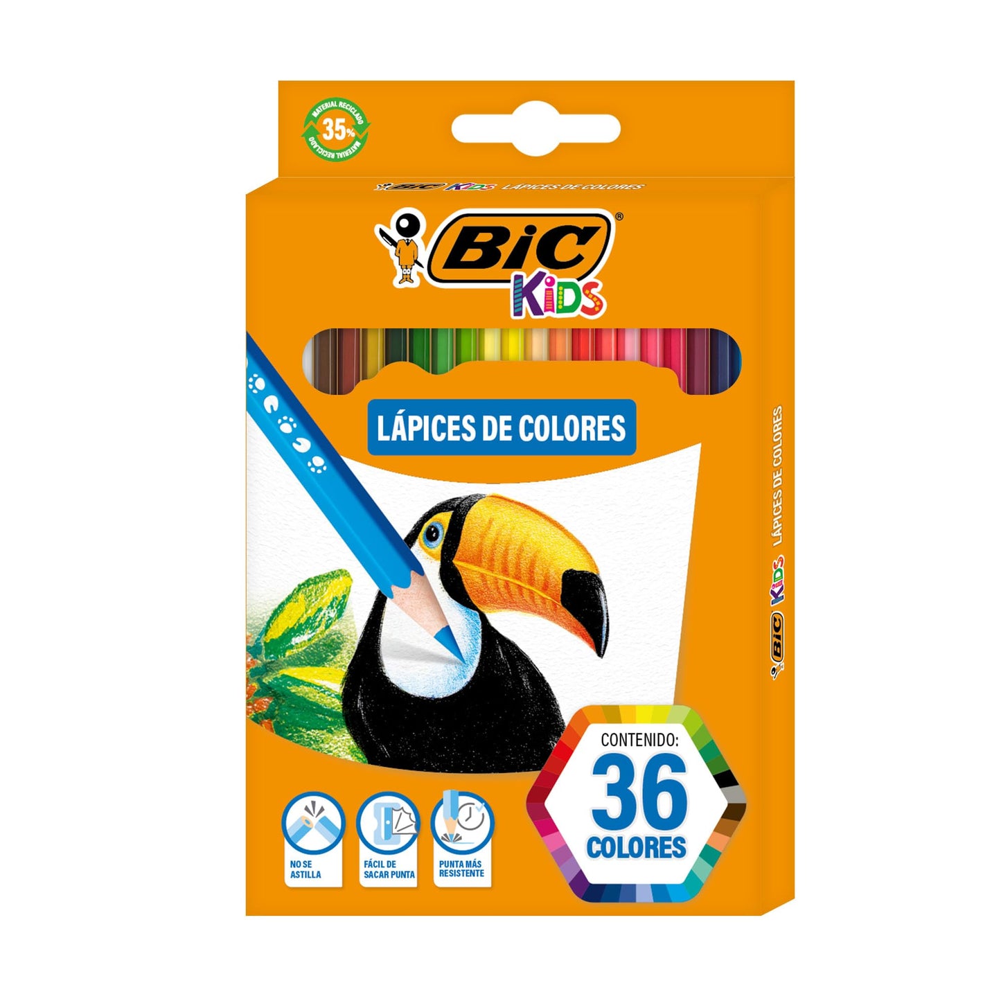 BIC Lápices de Colores Evolution Punta Resistente Sin Astillas Hecho de Resina Surtido de Colores 36 Piezas