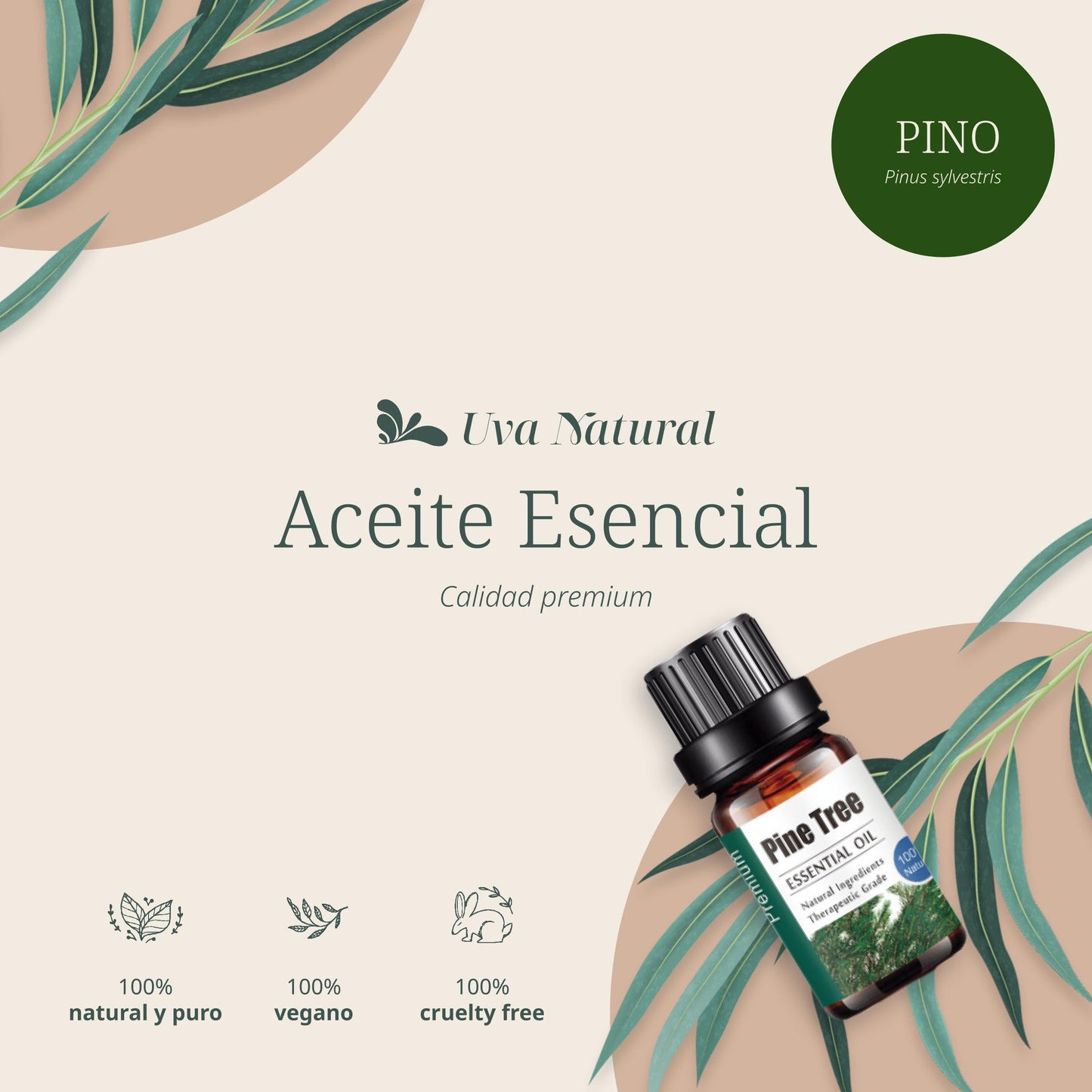 Aceites Esenciales Aromaterapia Uva Natural Pino Conjunto con Caja de Regalo Exquisita 10 ML