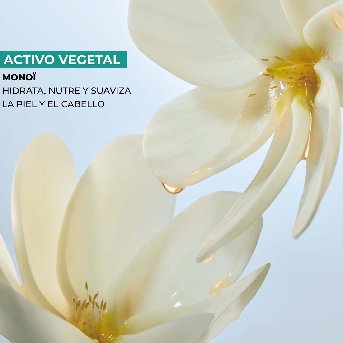 Yves Rocher Monoi de Tahiti Aceite Brillante - Nutrición e Iluminación para Cuerpo y Cabello, 150ml