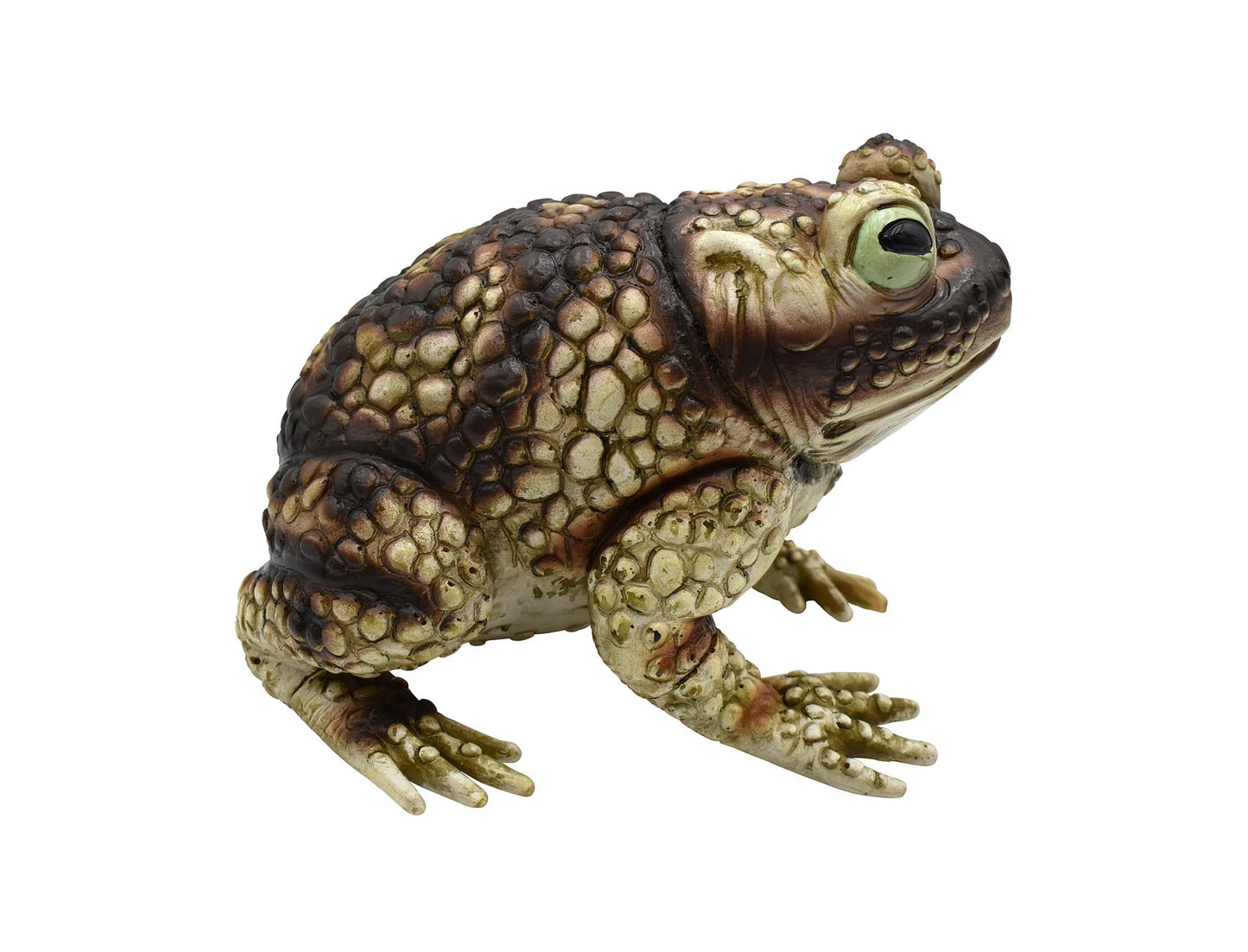 Nicky Bigs Novelties Giant Rubber Toad Prop Decoration, Multi, 25cm Long