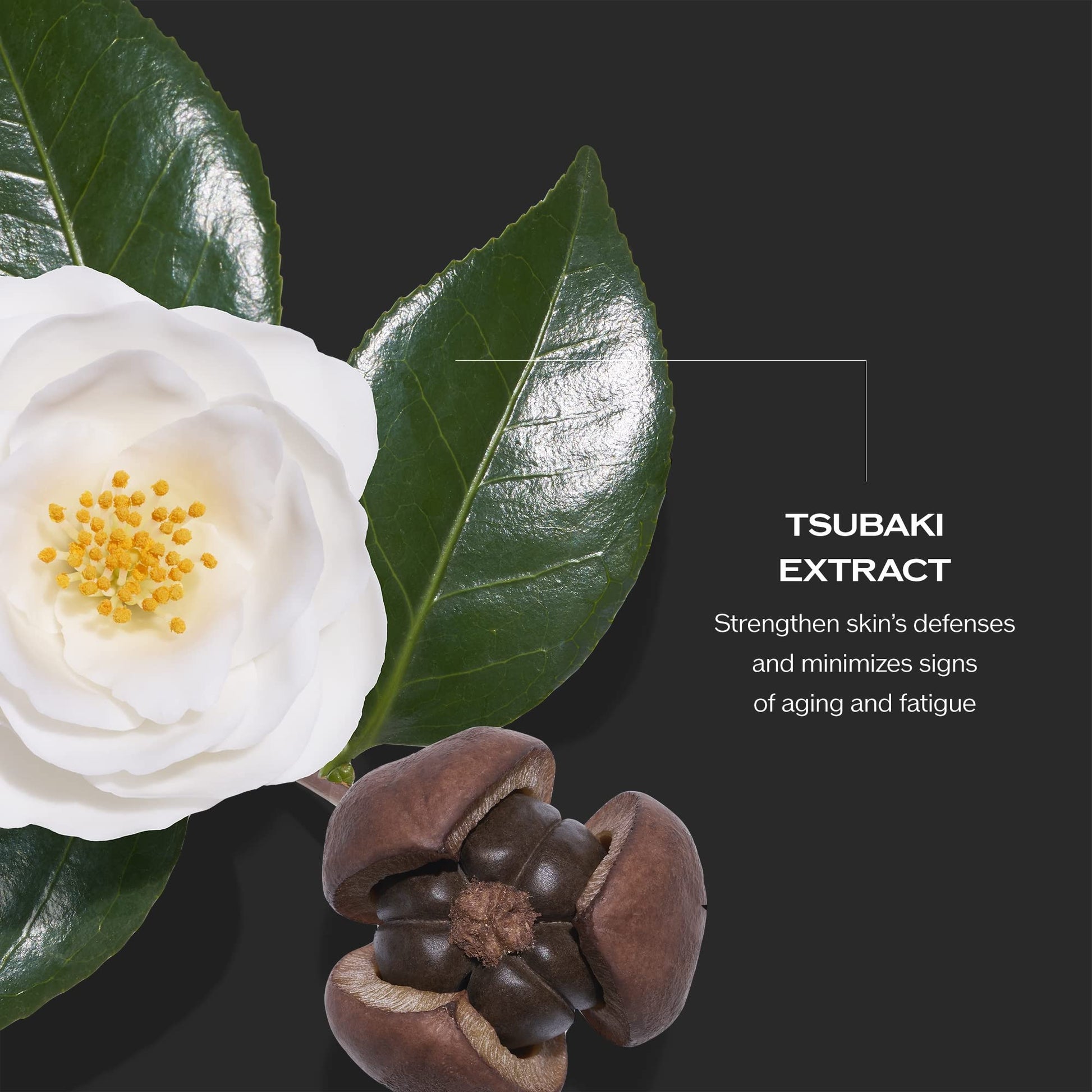 Suero Antiedad Shiseido 906-71534 Ultimune Power Infusing Concentrate para Hombre 30 ml