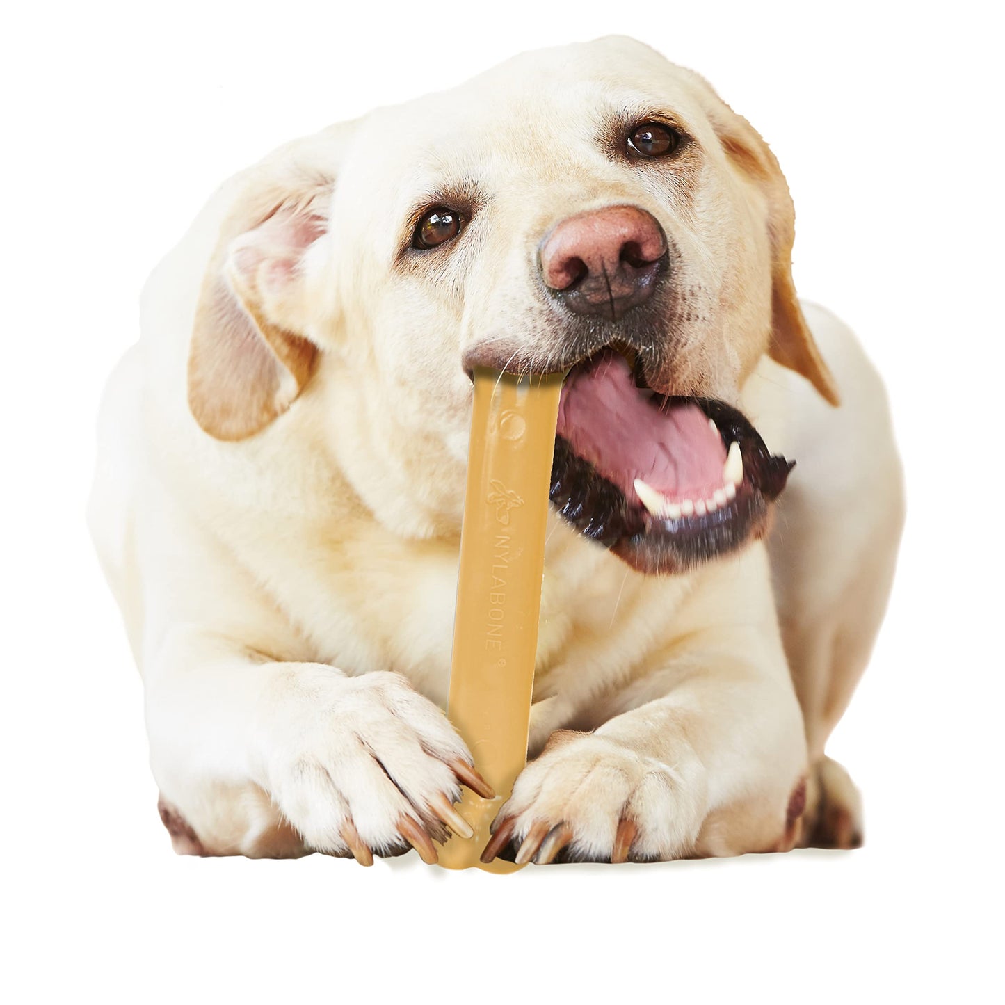 Juguete Masticable Nylabone Dura Chew Sabor Original Grande para Perros