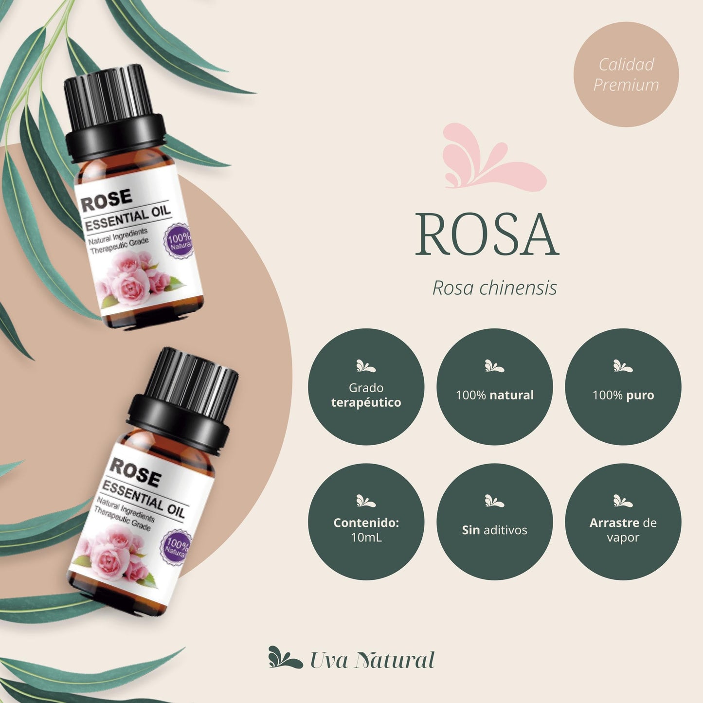 Aceites Esenciales Aromaterapia Rosas 100% Natural con Difusores y Humidificadores UVA Natural