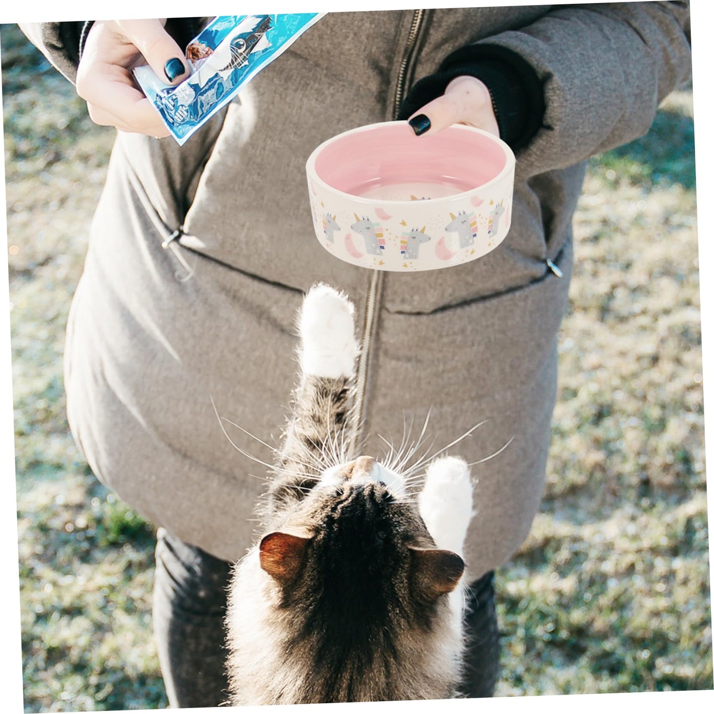 FOMIYES Comedero para Mascotas Tazón De Comida para Perros Platos para Perros Tazón De Agua para Perros Pequeños Cuenco De Agua para Gatos Cerámica Acero Inoxidable Fácil De Limpiar Rosa