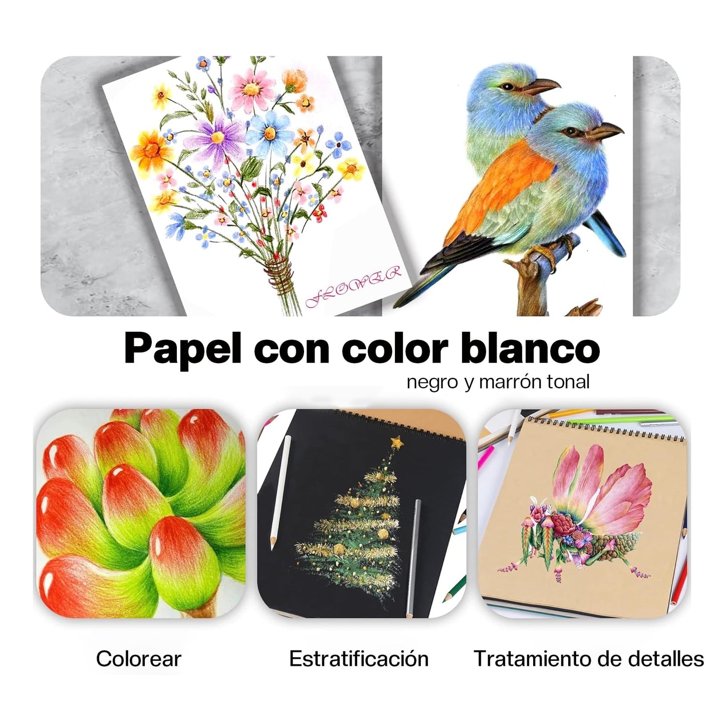 Juego de Lápices de Colores - 48 Lapices de Colores Profesionales, Kit Profesional de Dibujo en Color, Dibujo de Arte, Regalo Perfecto para Niño, Amante de La Pintura, Principiantes Y Artistas