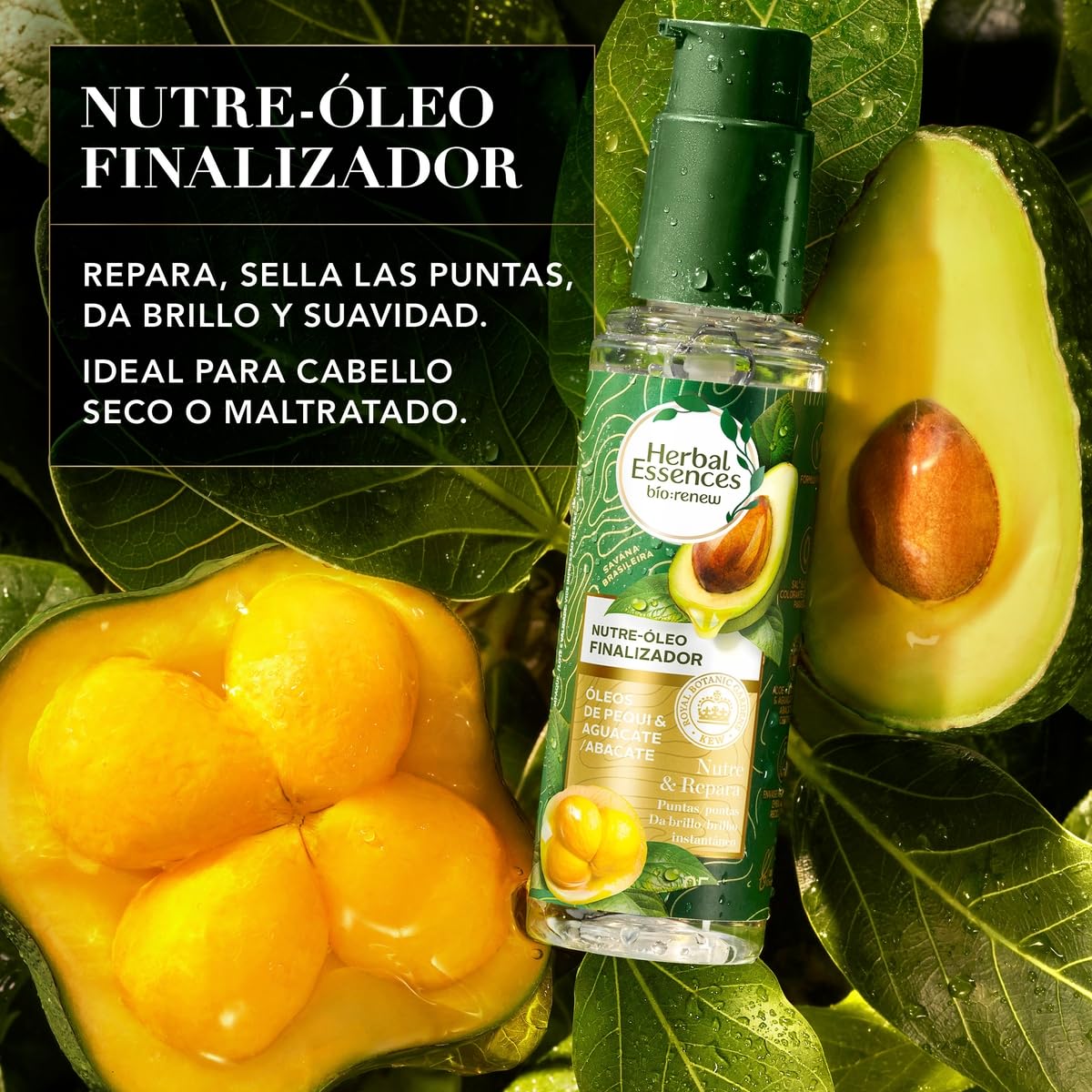 HERBAL ESSENCES Bio:Renew, Nutre Óleo Finalizador - aceite para cabello seco Nutre e Hidrata Pequi & Aguacate 95 ml