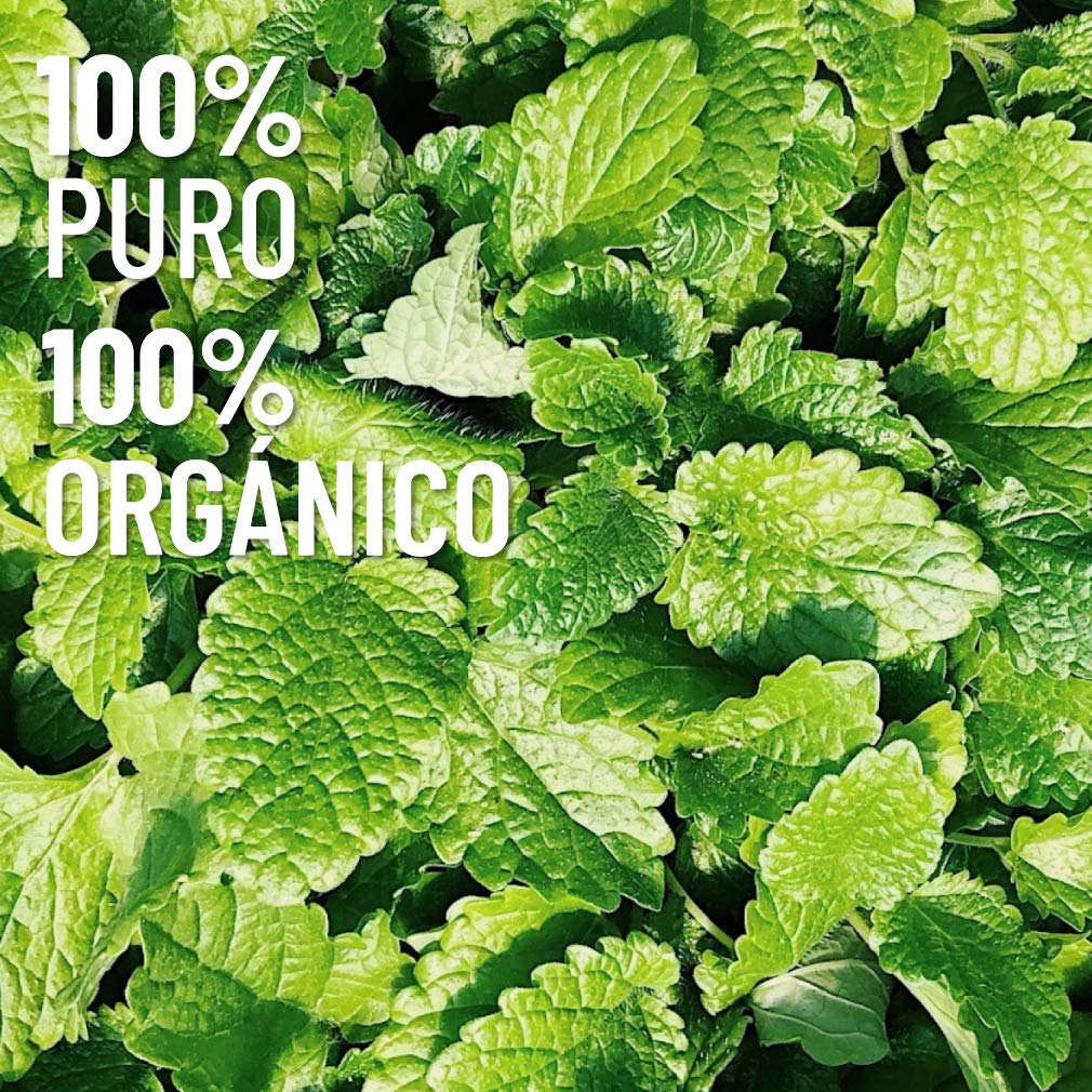 Aceite Esencial OLEUM VITAE Hierbabuena 100% Puro y Orgánico Certificado USDA 15 ml