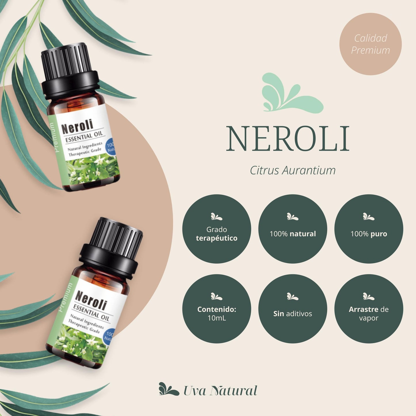 Aceites Esenciales Neroli UVa Natural 100% para Aromaterapia Conjunto de Difusores y Humidificadores con Caja de Regalo Exquisita