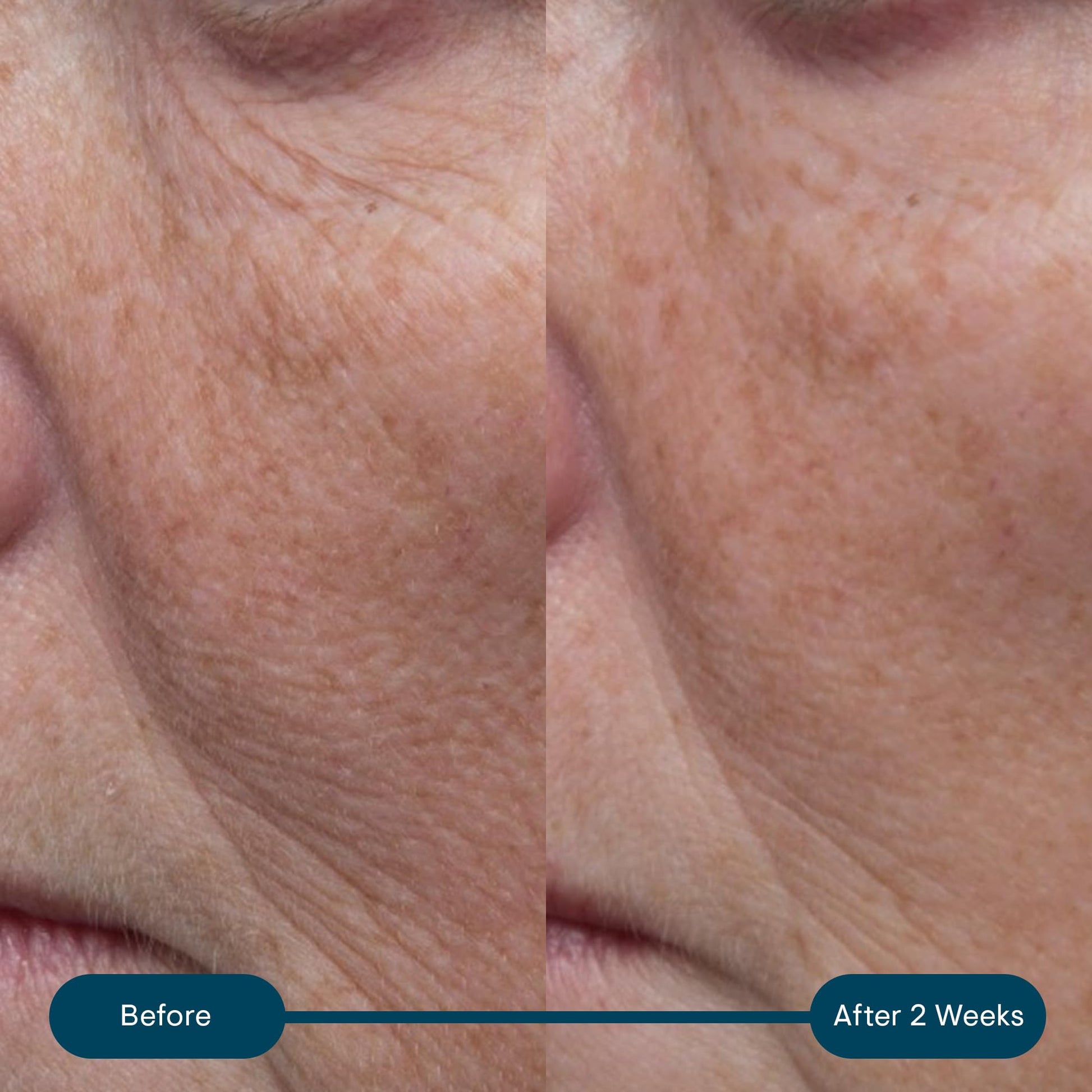 ELEMIS Pro-Collagen Marine Cream, Anti-Wrinkle Daily Face Lotion, Hydrating Ultra-Light Gel-Cream Day Moisturiser Leaves Skin Smooth, Glowing and Rejuvenated, Suitable For All Skin Types